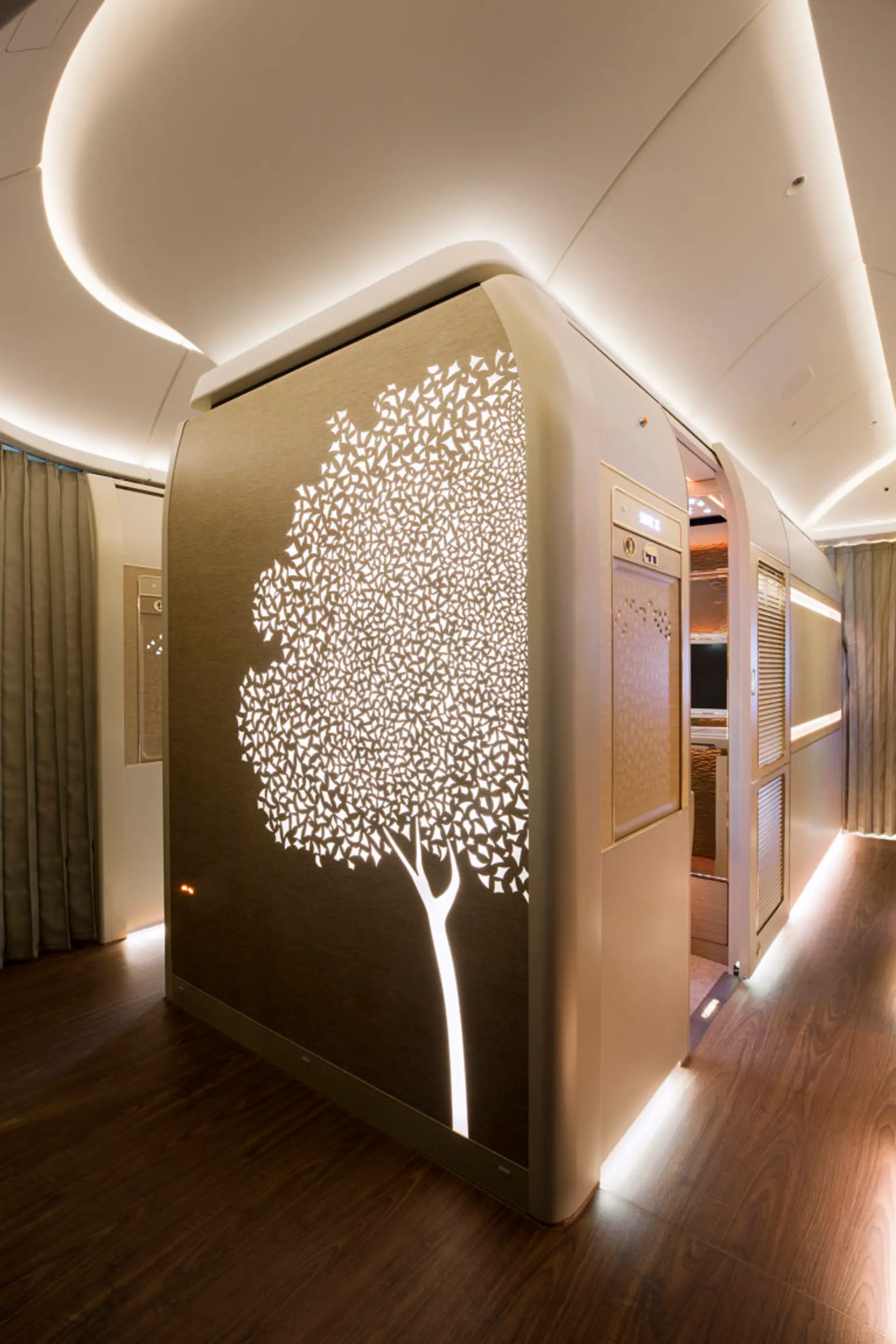 Ghaf-Tree-motif-in-First-Class-.jpg