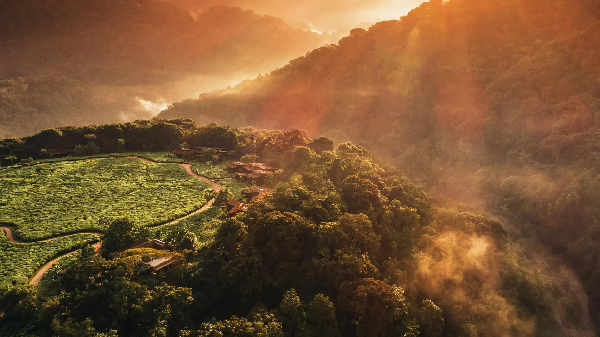 Hotels Toplists - The Best Modern Safari Experiences In The World