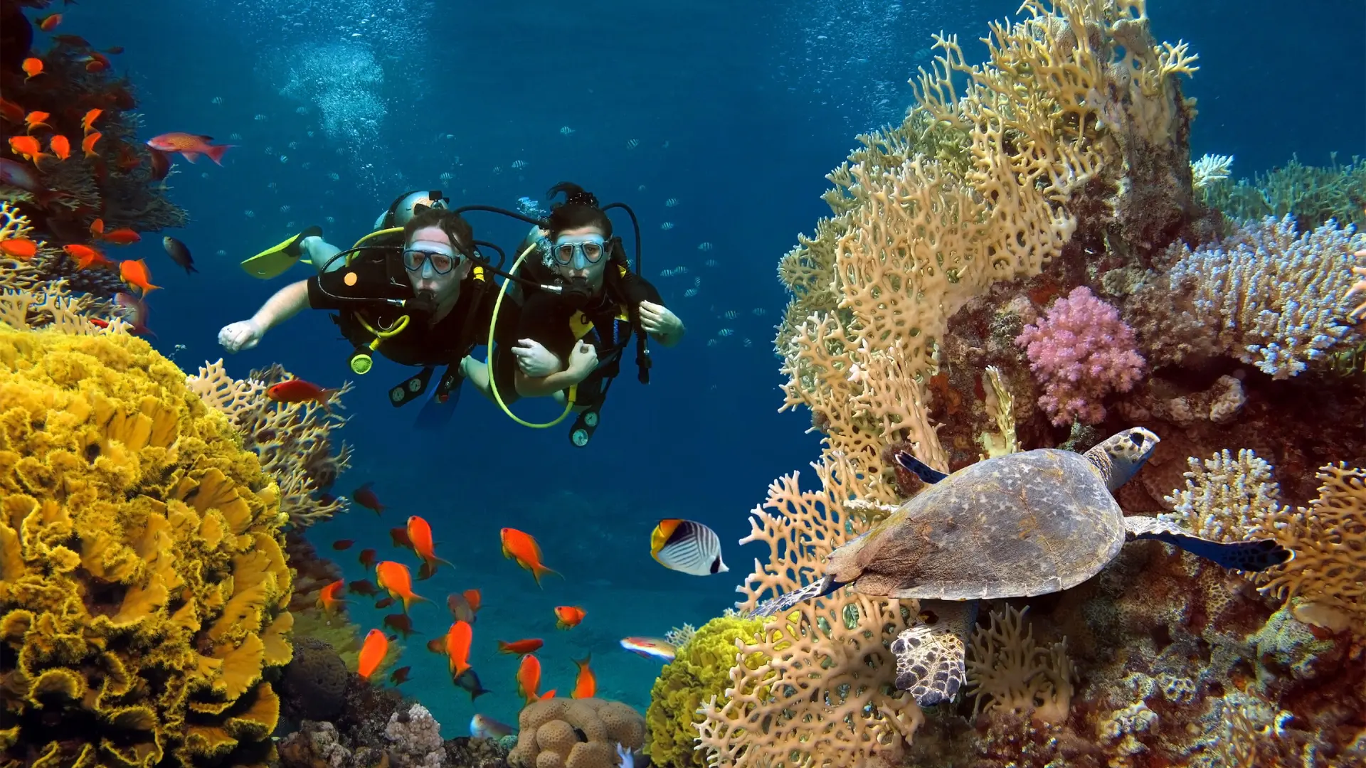 Destinations Articles - Mauritius Travel Guide