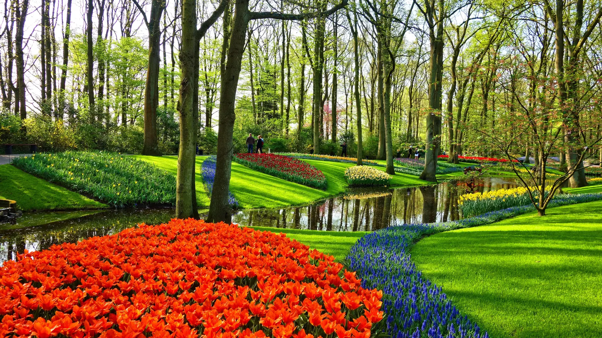 Lifestyle Toplists - The Best Botanical Gardens in the World