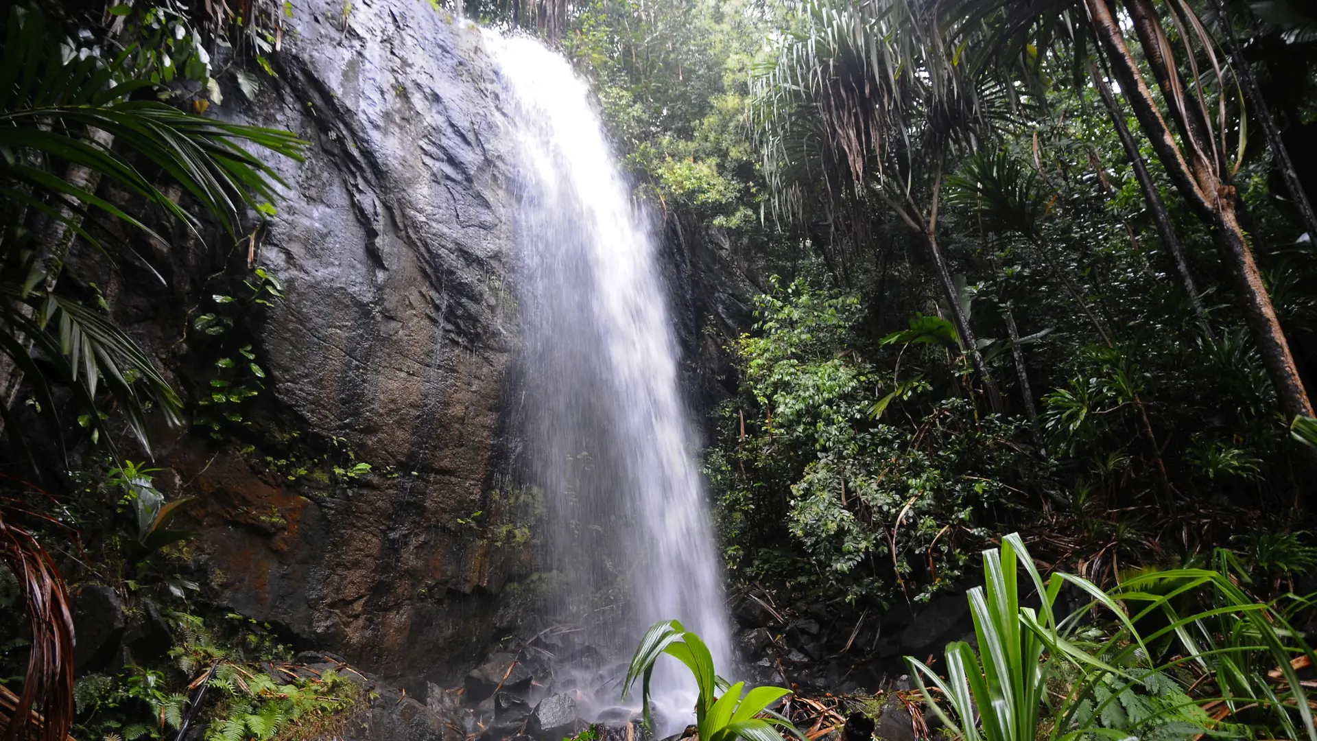 Destinations Articles - Seychelles Travel Guide