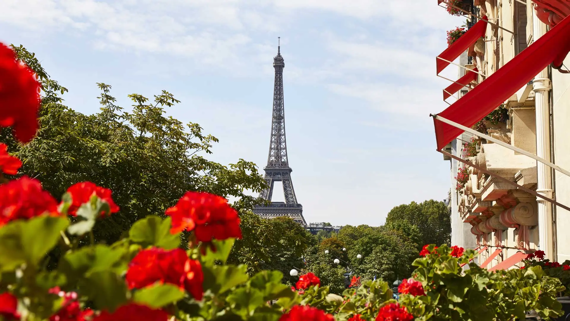 Hotel review What We Love' - Hôtel Plaza Athénée Paris - 0