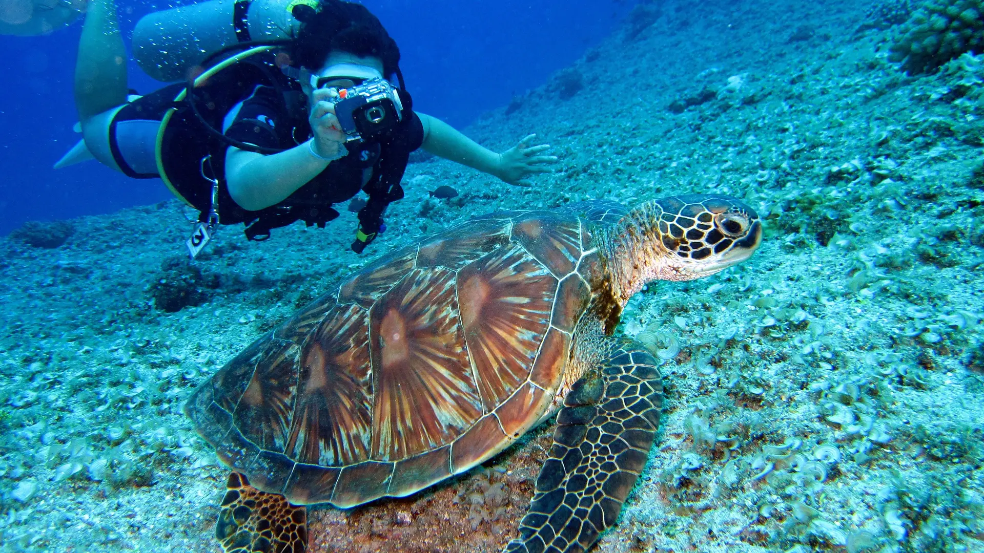 Destinations Articles - Crete Travel Guide