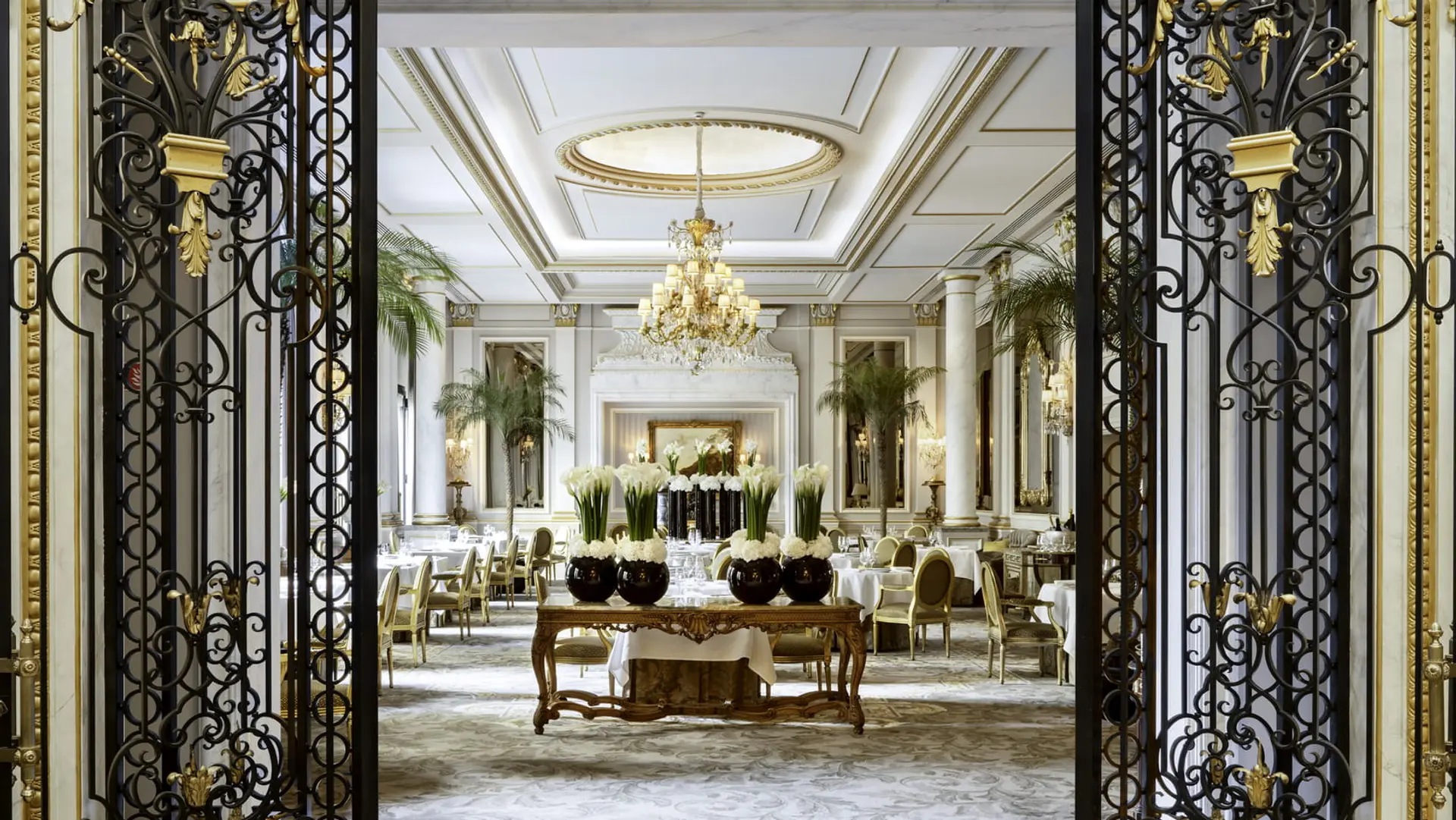 three star michelin star resturant at le cinq paris 