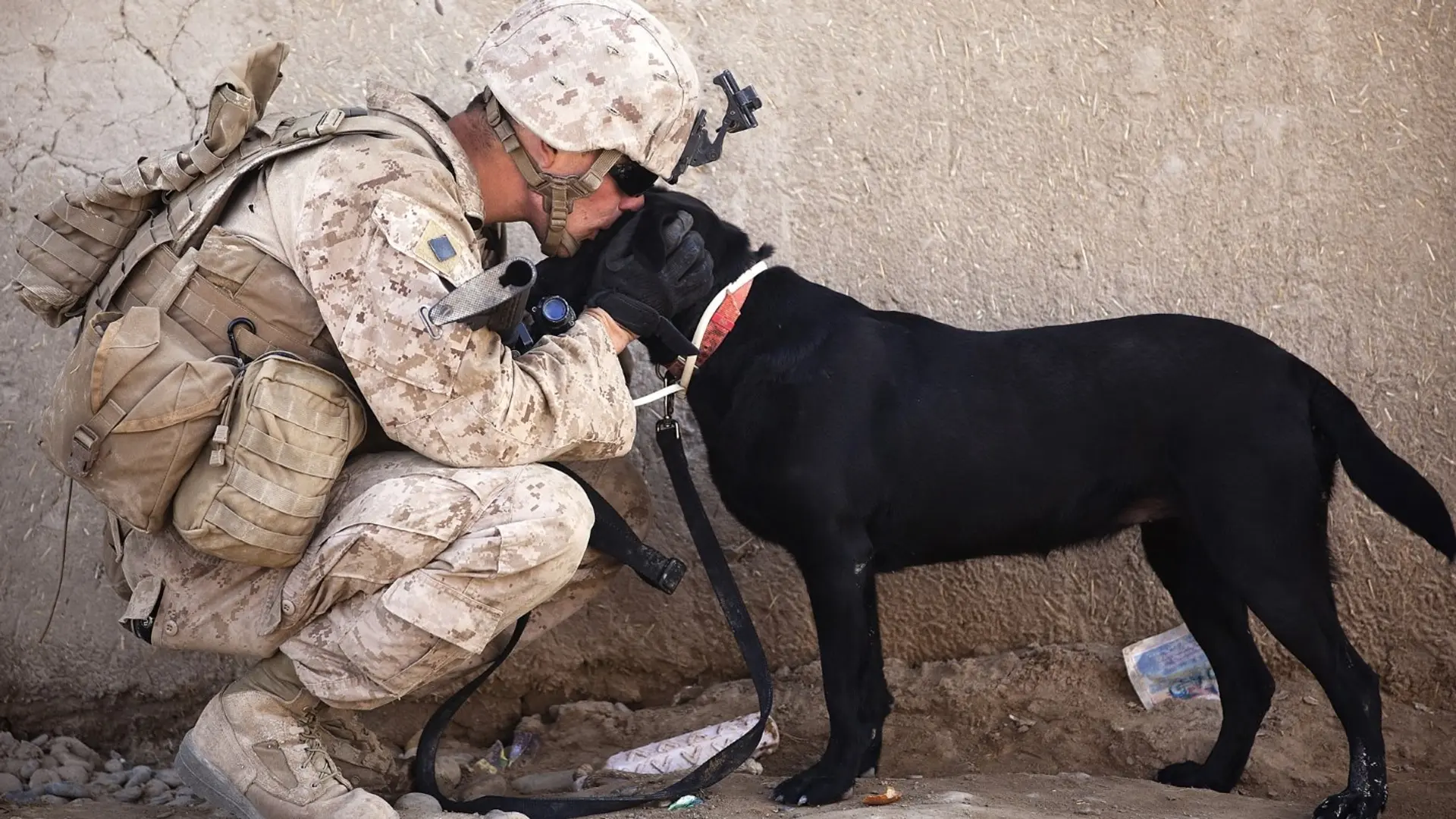 Soldier in beige camouflage cuddle with a black rescue dog