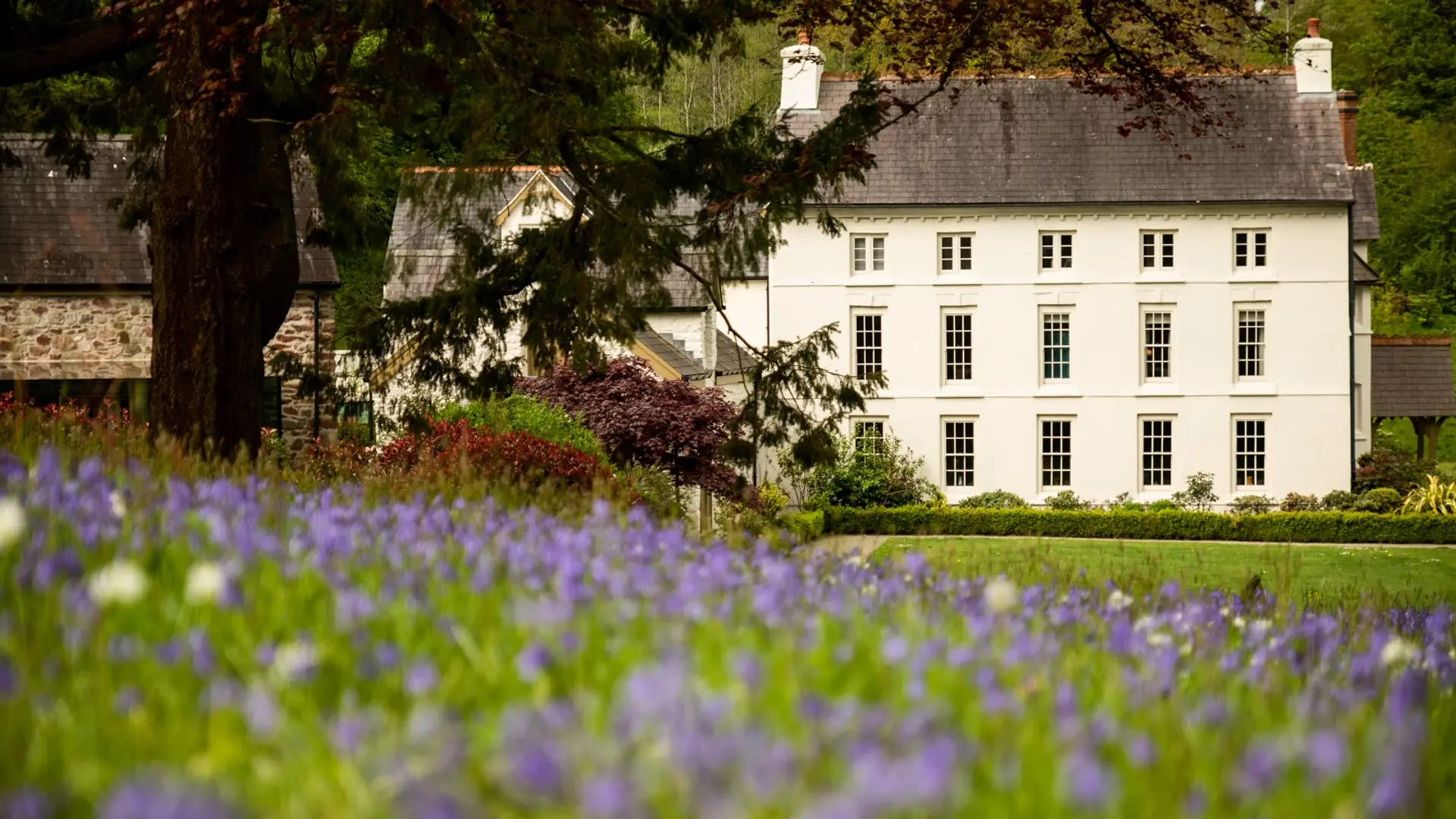 Hotel review Service & Facilities' - Grove of Narberth - 0