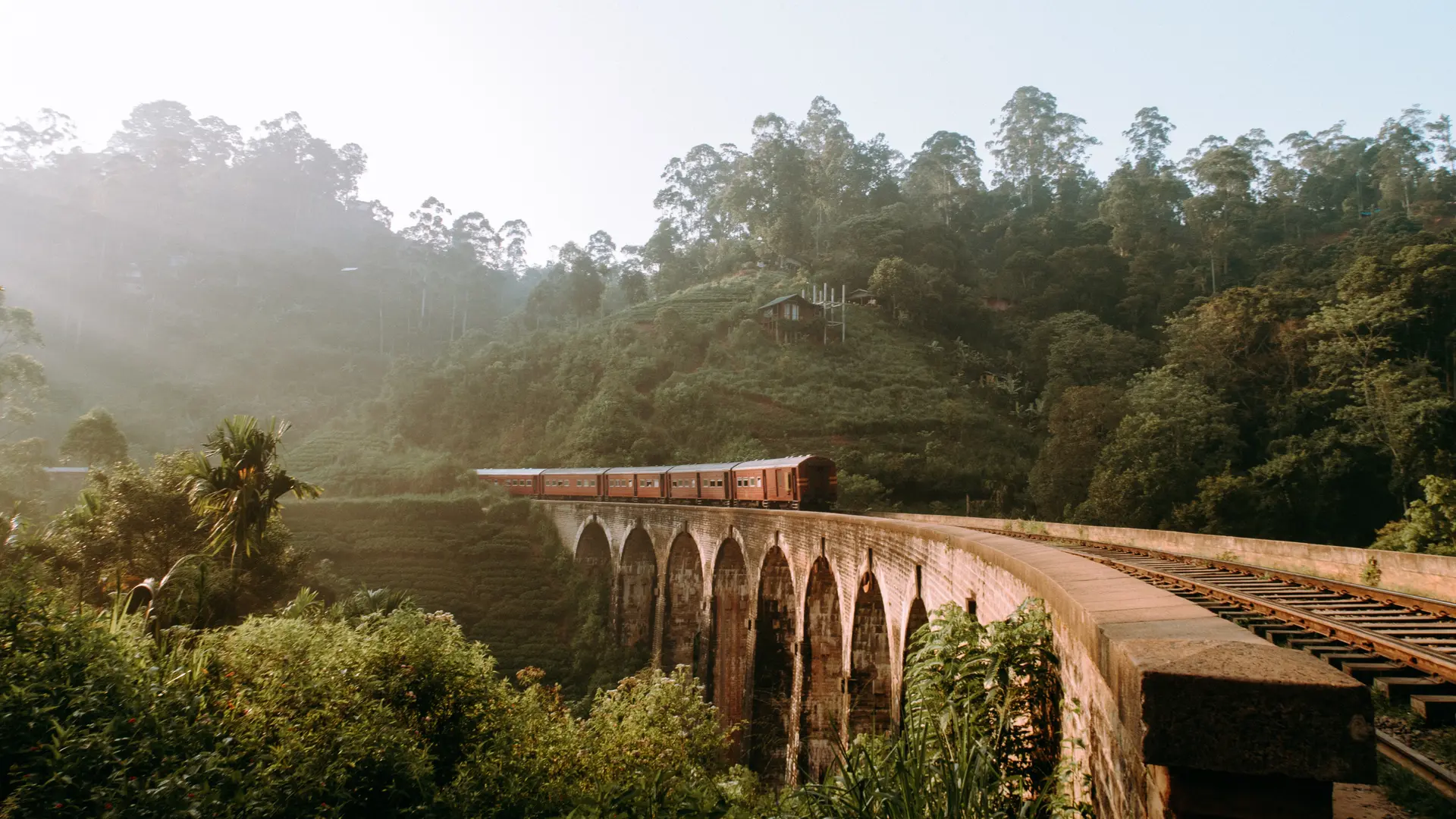Sri Lanka Travel Guide image