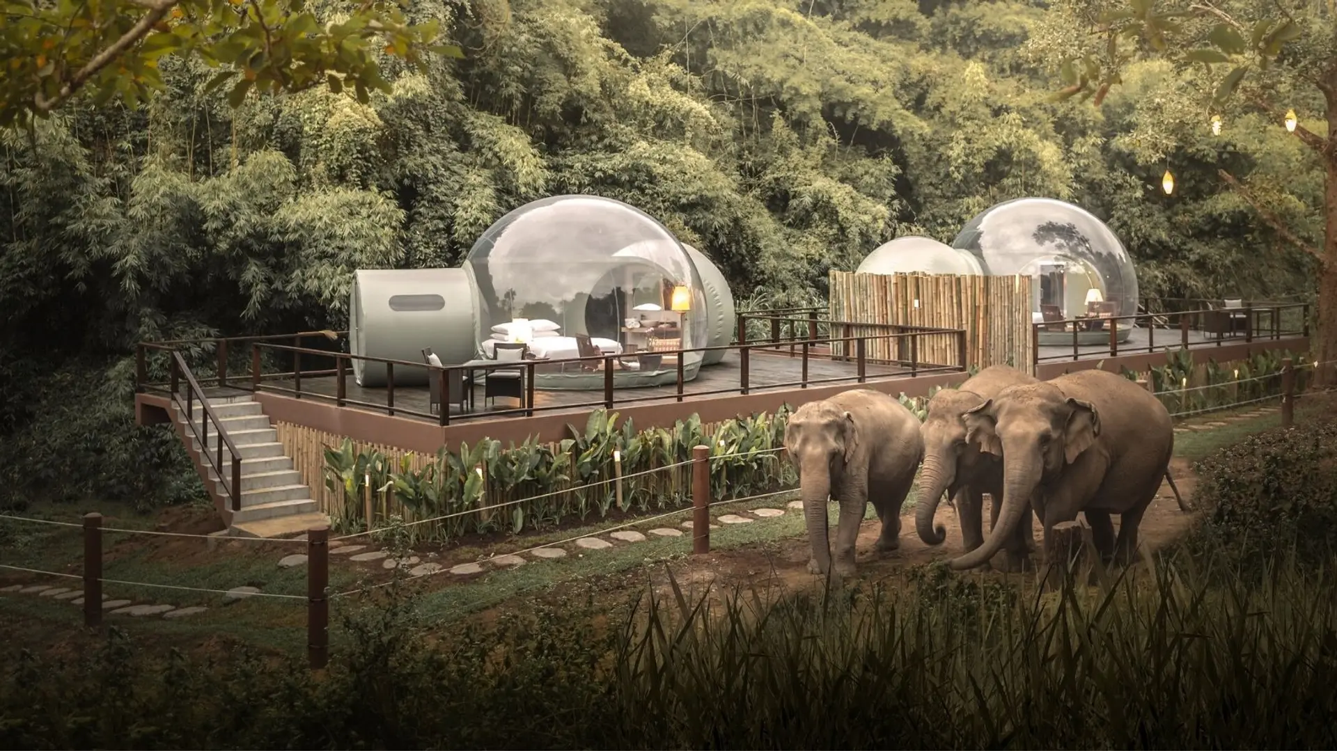 Hotels Articles - Anantara offers a unique virtual educational field trip