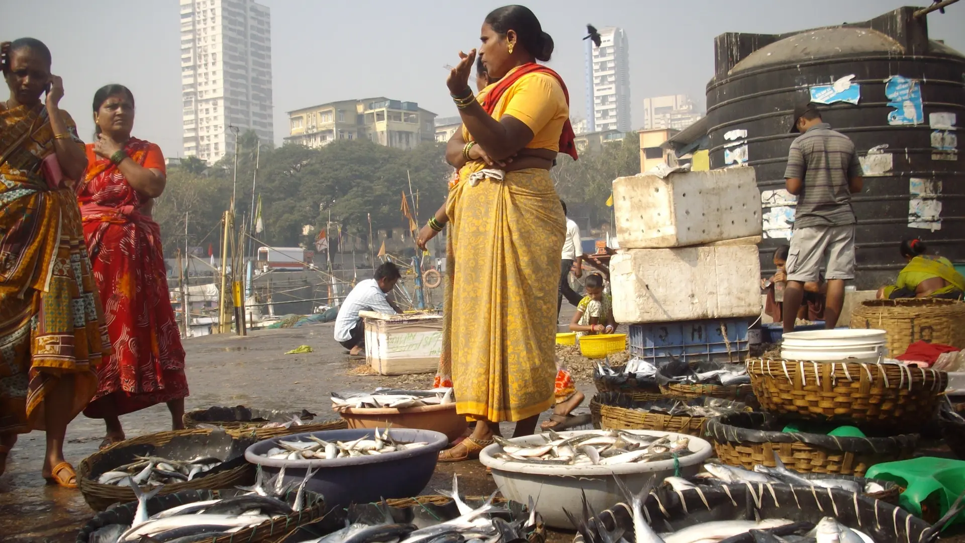 Baskets of fish and a woman in yellow standing besides at The Seasons Dock in Mumbai.
