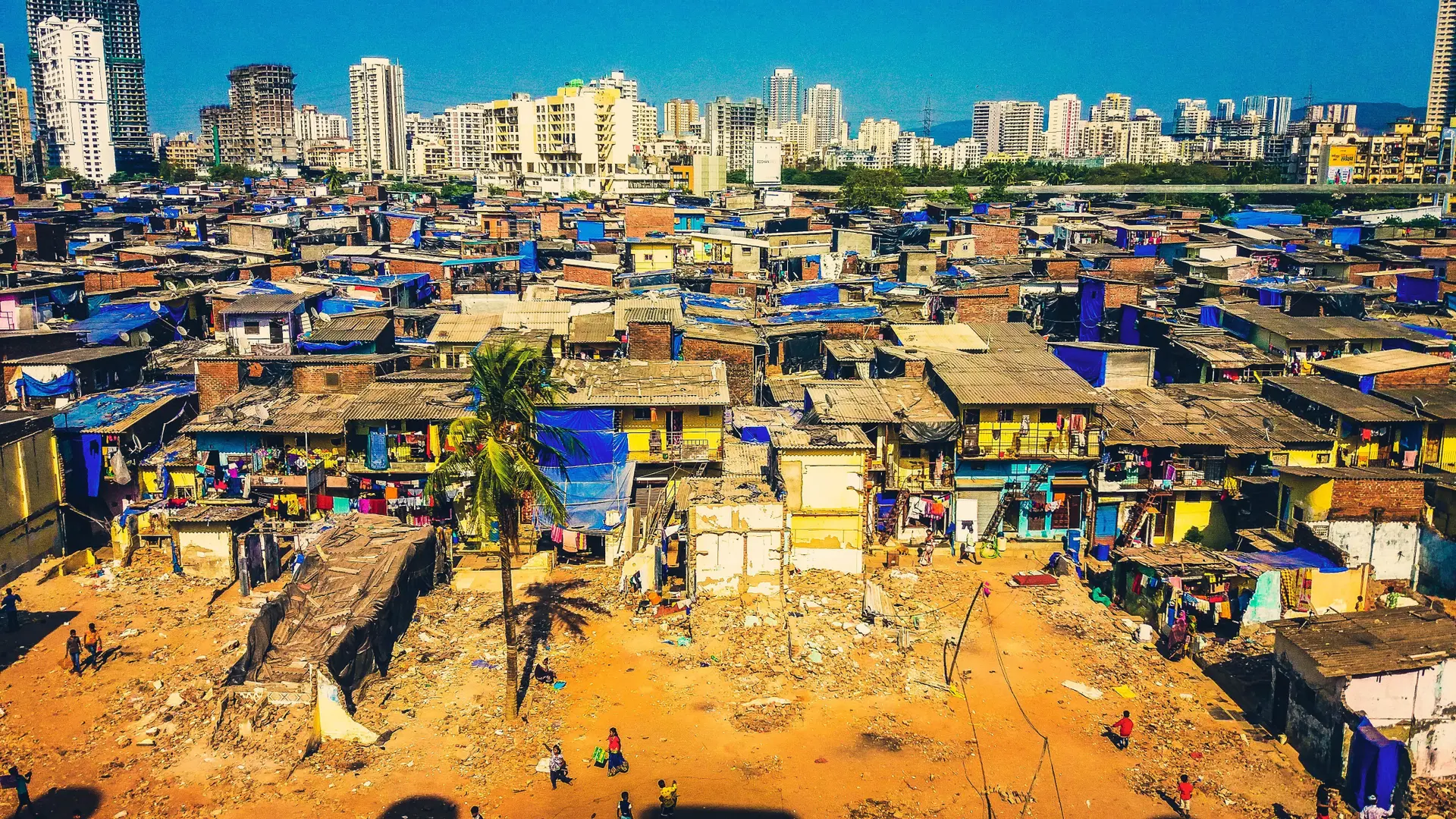 Shantytown in Mumbai with one palm tree, small houses in yellow and blue mainly and a lot of sand.