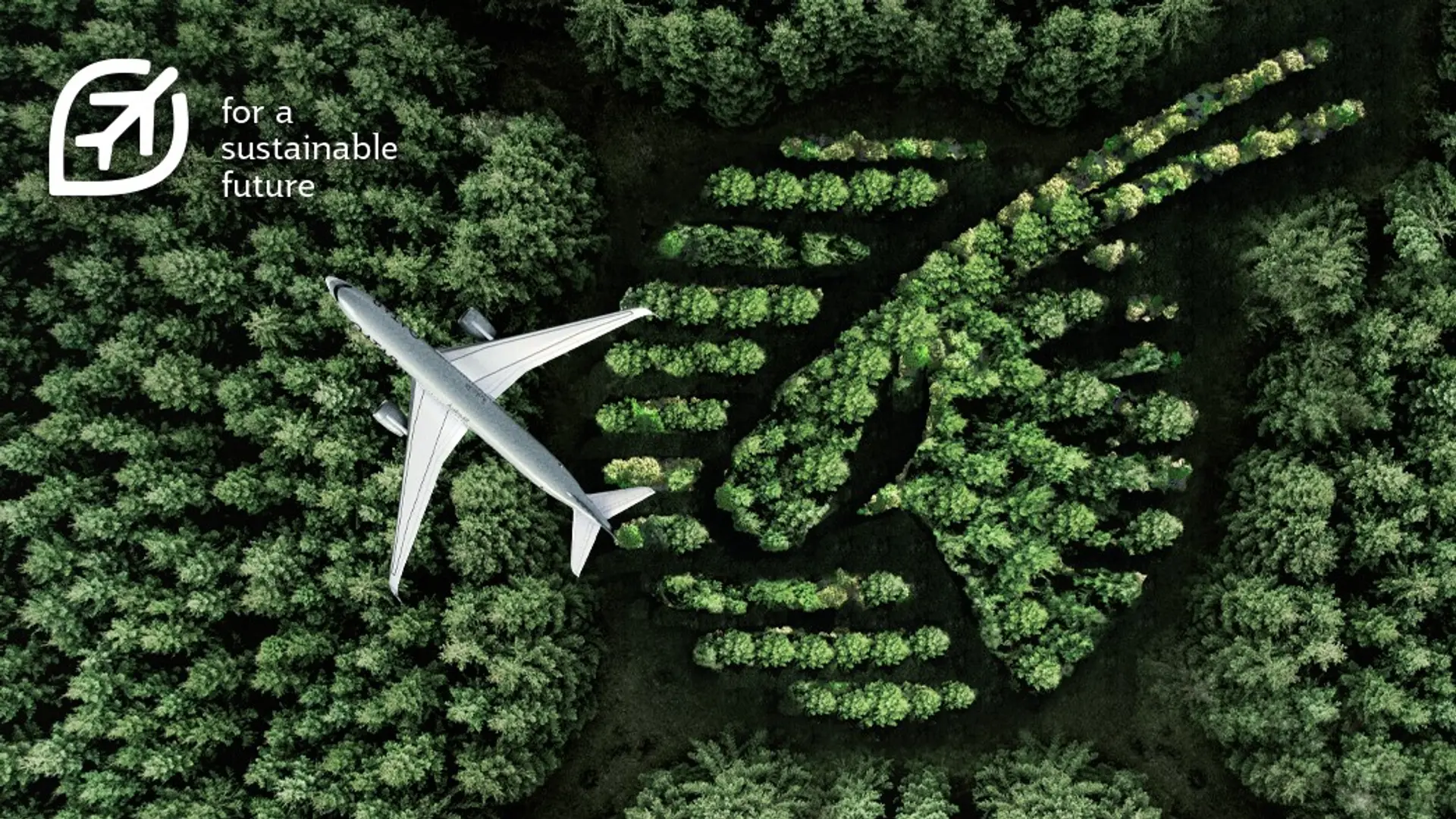 Airline review Sustainability - Qatar Airways - 0