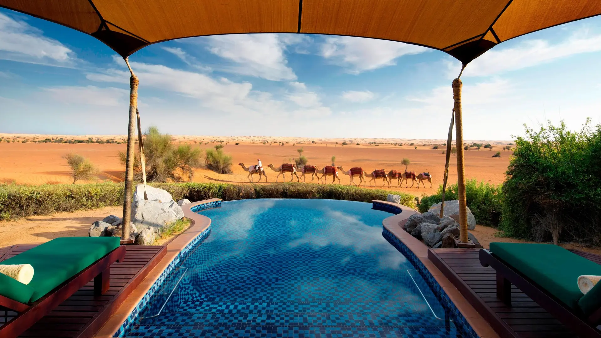 Al Maha a Luxury Collection Desert Resort & Spa Dubai