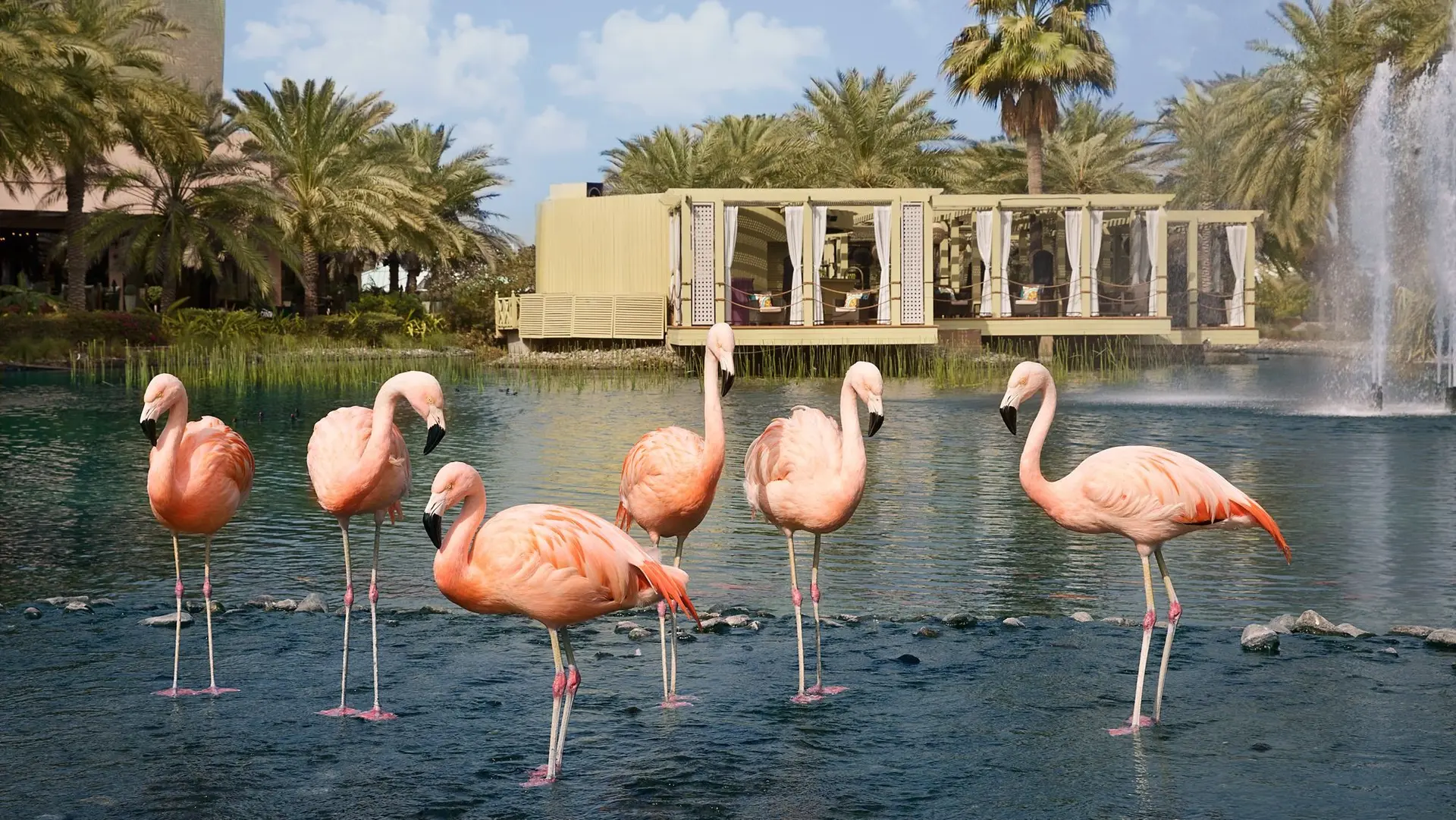 Hotel review Sustainability' - The Ritz-Carlton, Bahrain - 0
