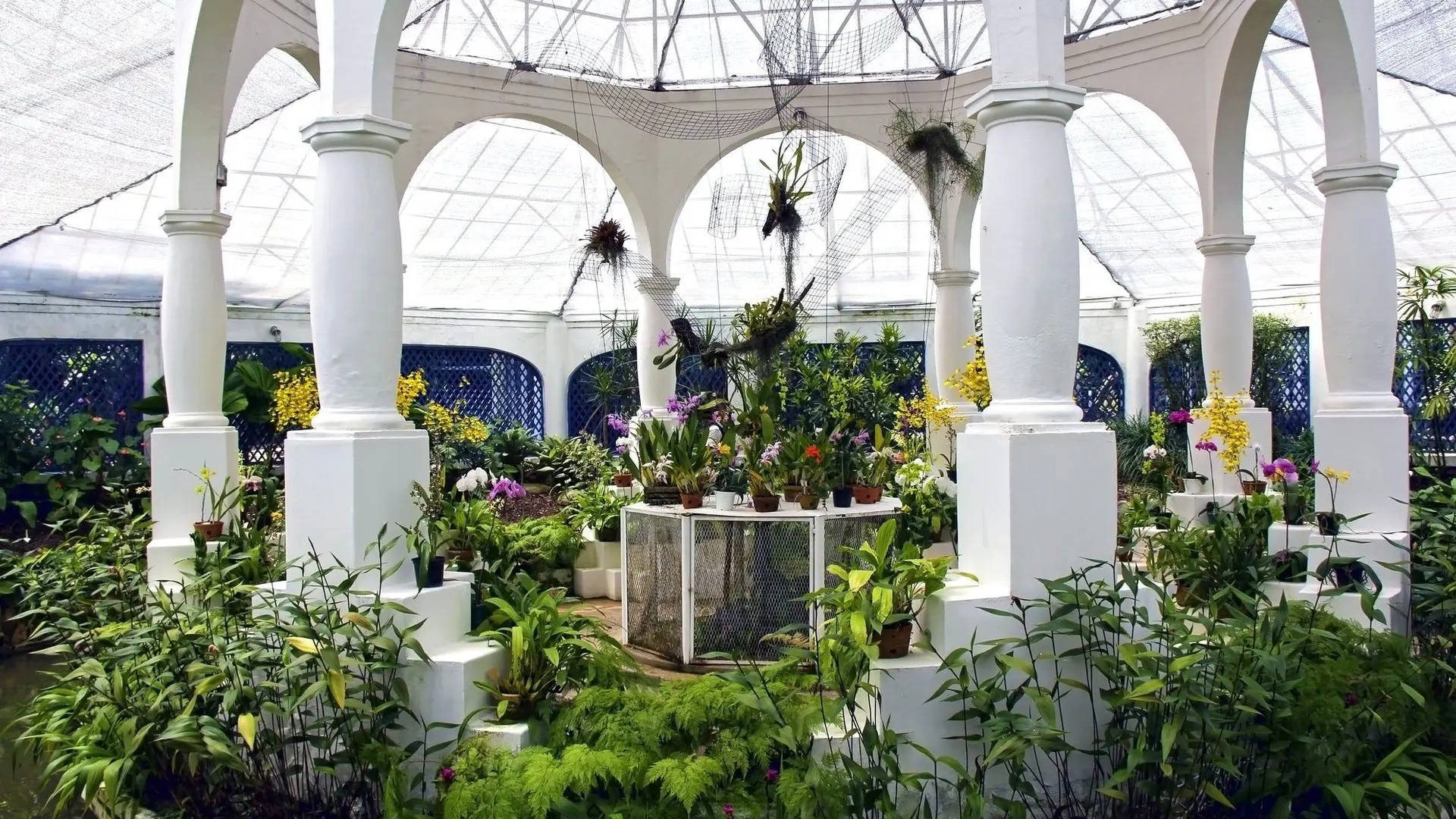 Lifestyle Toplists - The Best Botanical Gardens in the World