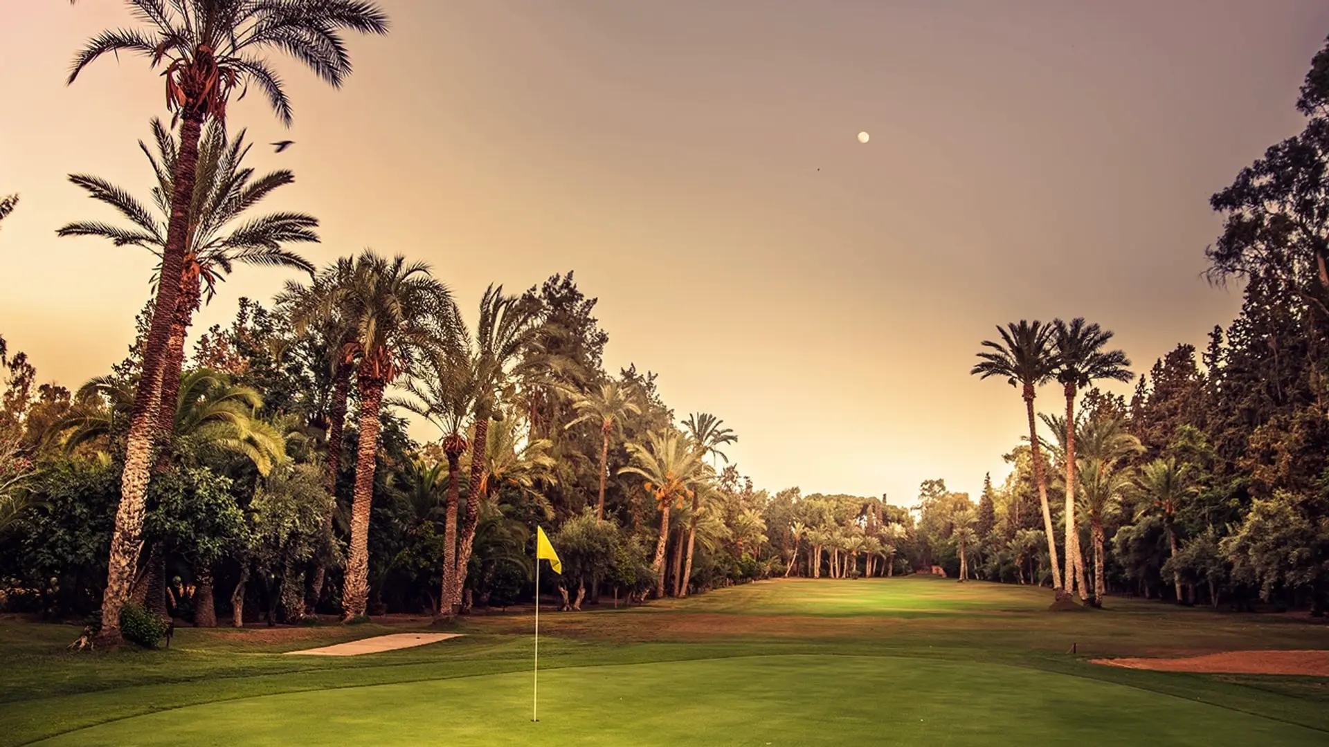 Golf field surrounded by palm trees and a yellow flag mark on the field.