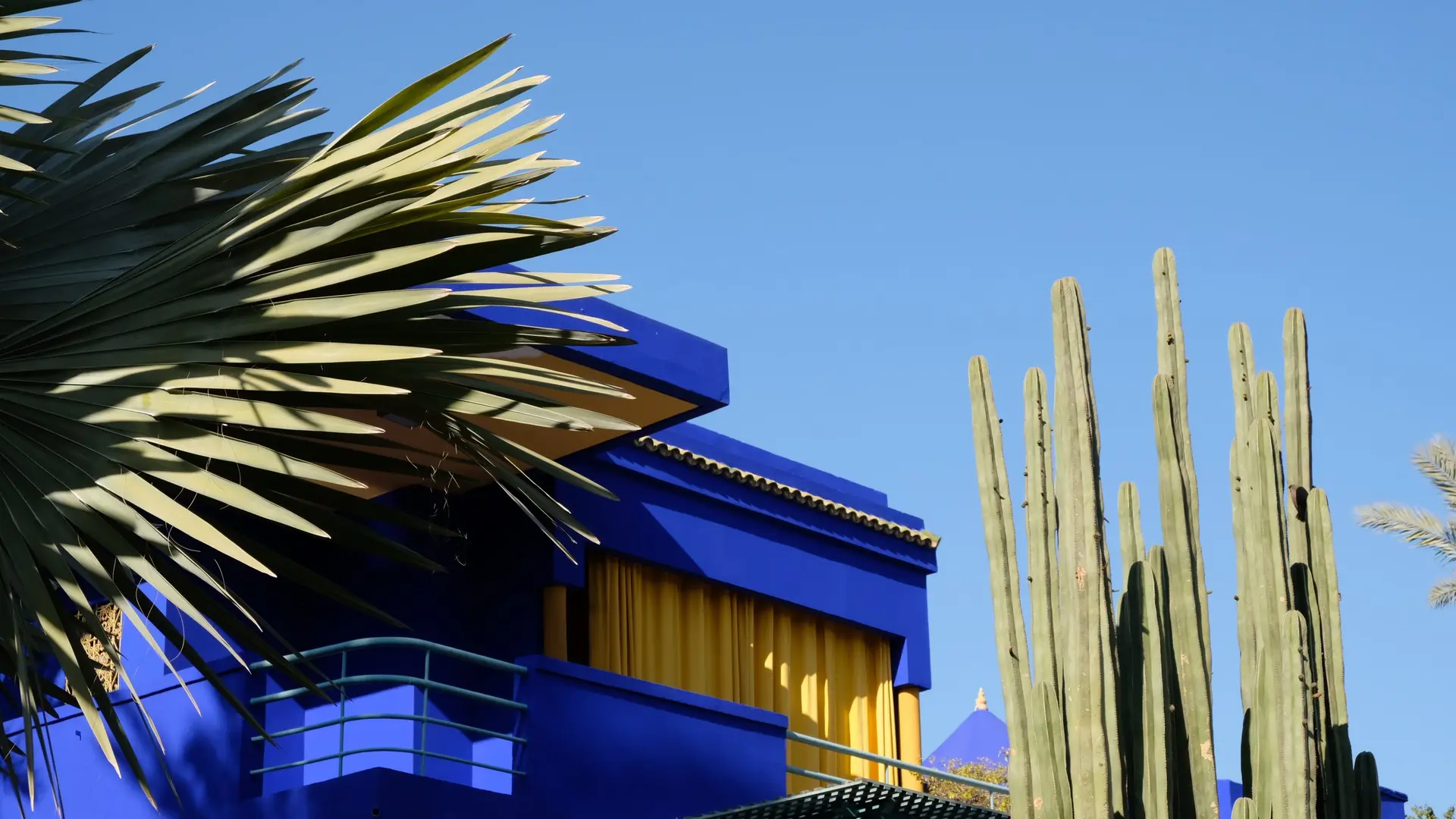 A blue house with yellow curtains and cactus outside.
