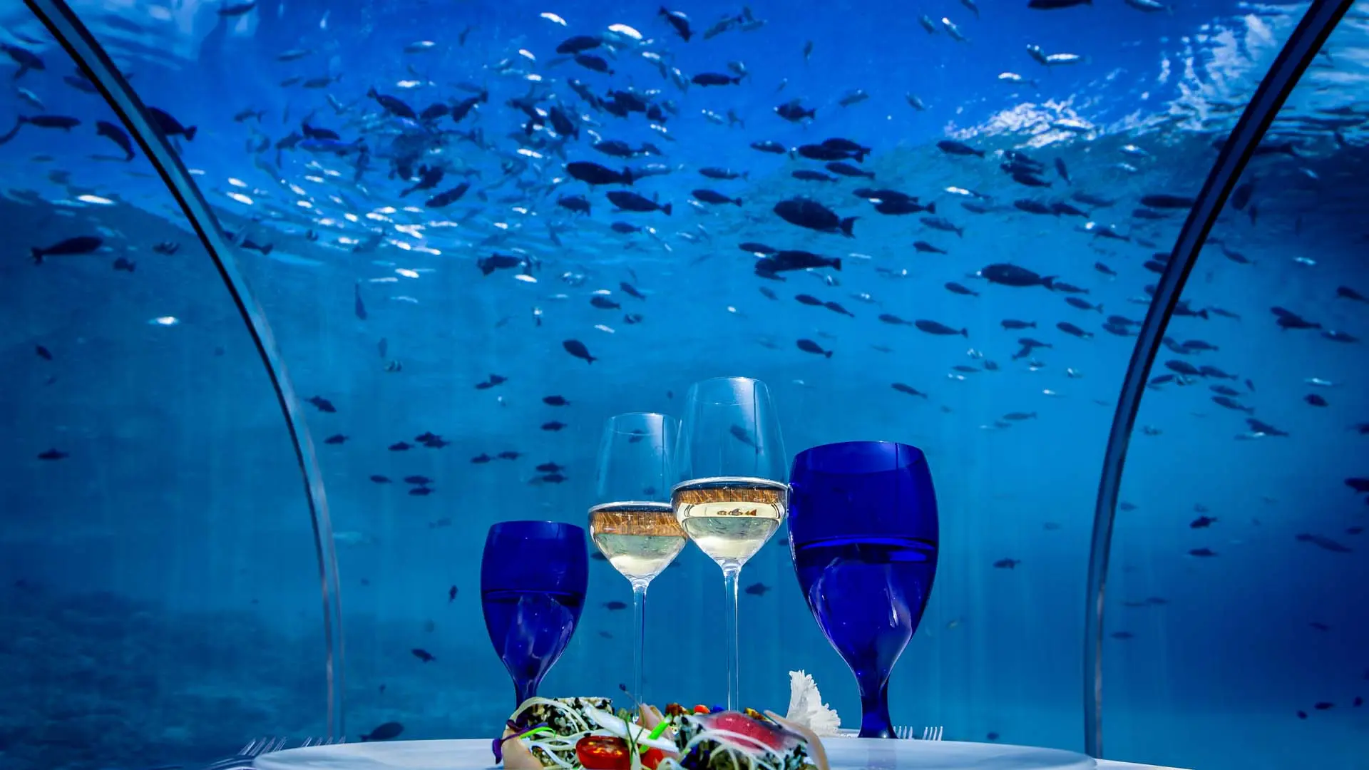 RES2-Hurawalhi-Maldives-UnderwaterRestaurant5.jpg