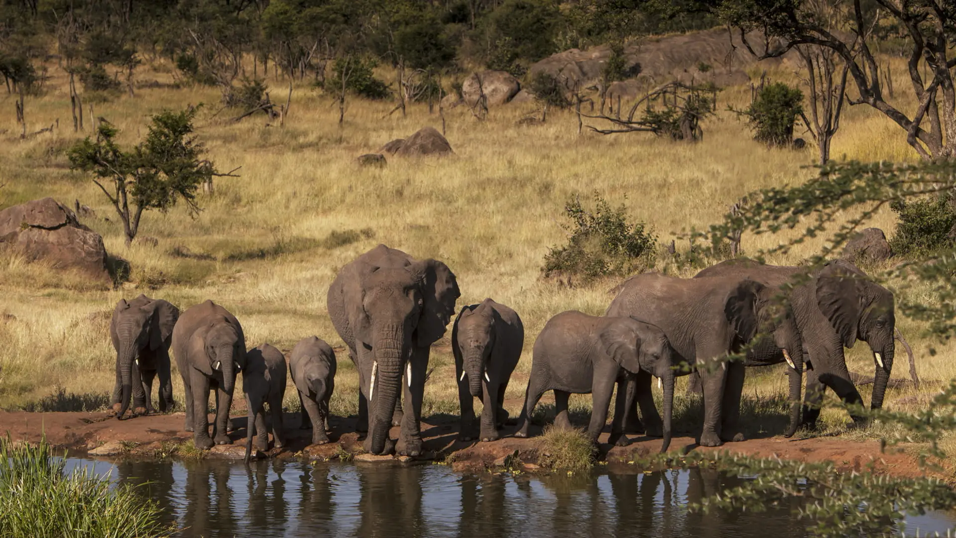 Hotel review What We Love' - Four Seasons Safari Lodge Serengeti - 0