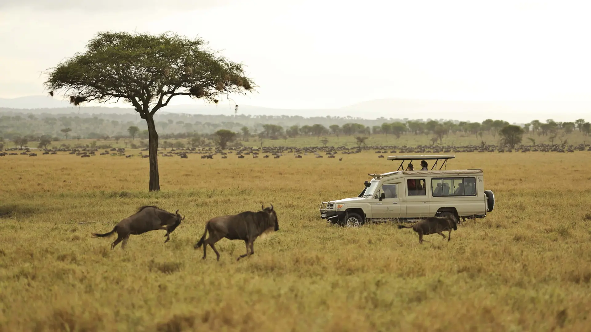 Hotel review Service & Facilities' - Four Seasons Safari Lodge Serengeti - 1