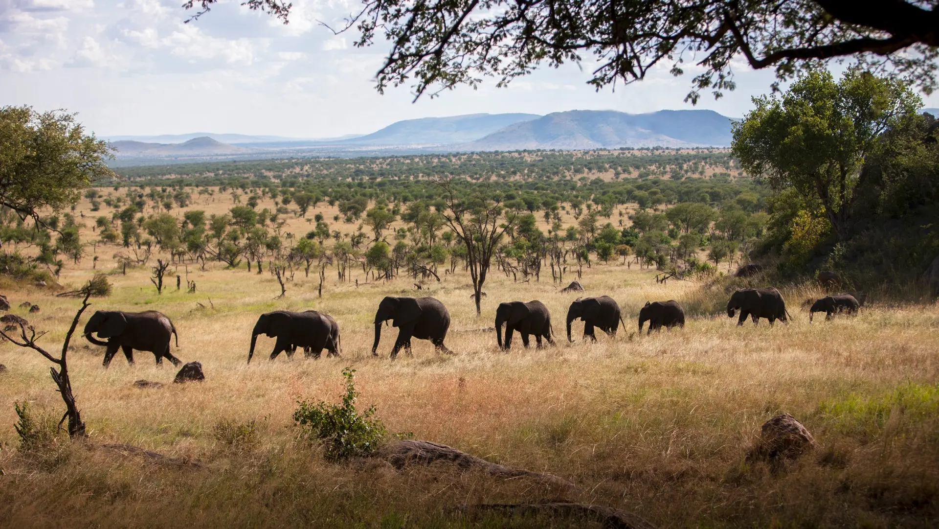 Hotel review Service & Facilities' - Four Seasons Safari Lodge Serengeti - 4