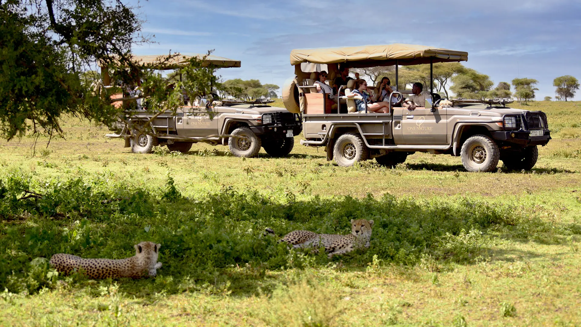 Hotel review Service & Facilities' - One Nature Nyaruswiga Serengeti - 4