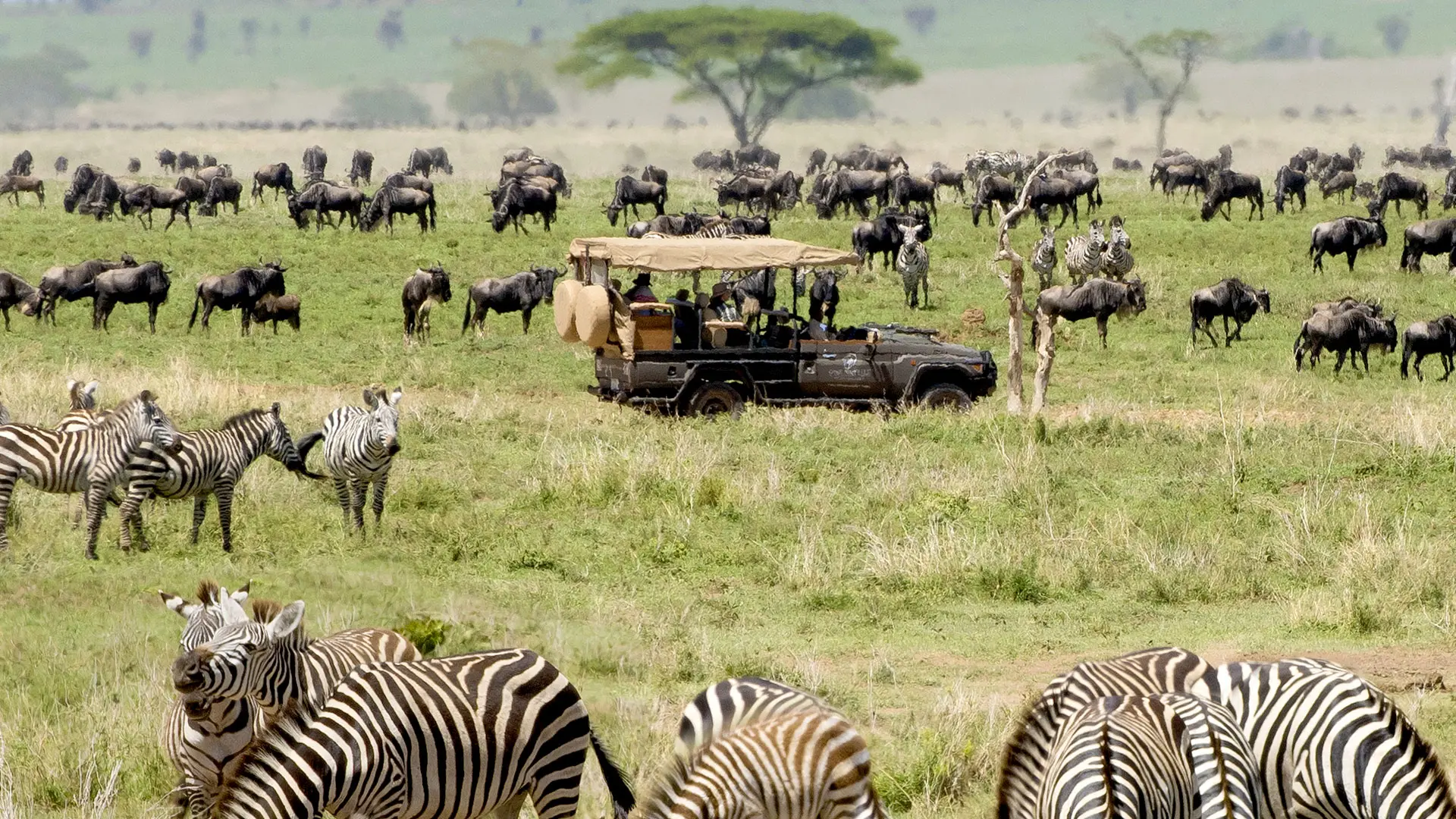Hotel review Location' - One Nature Nyaruswiga Serengeti - 0