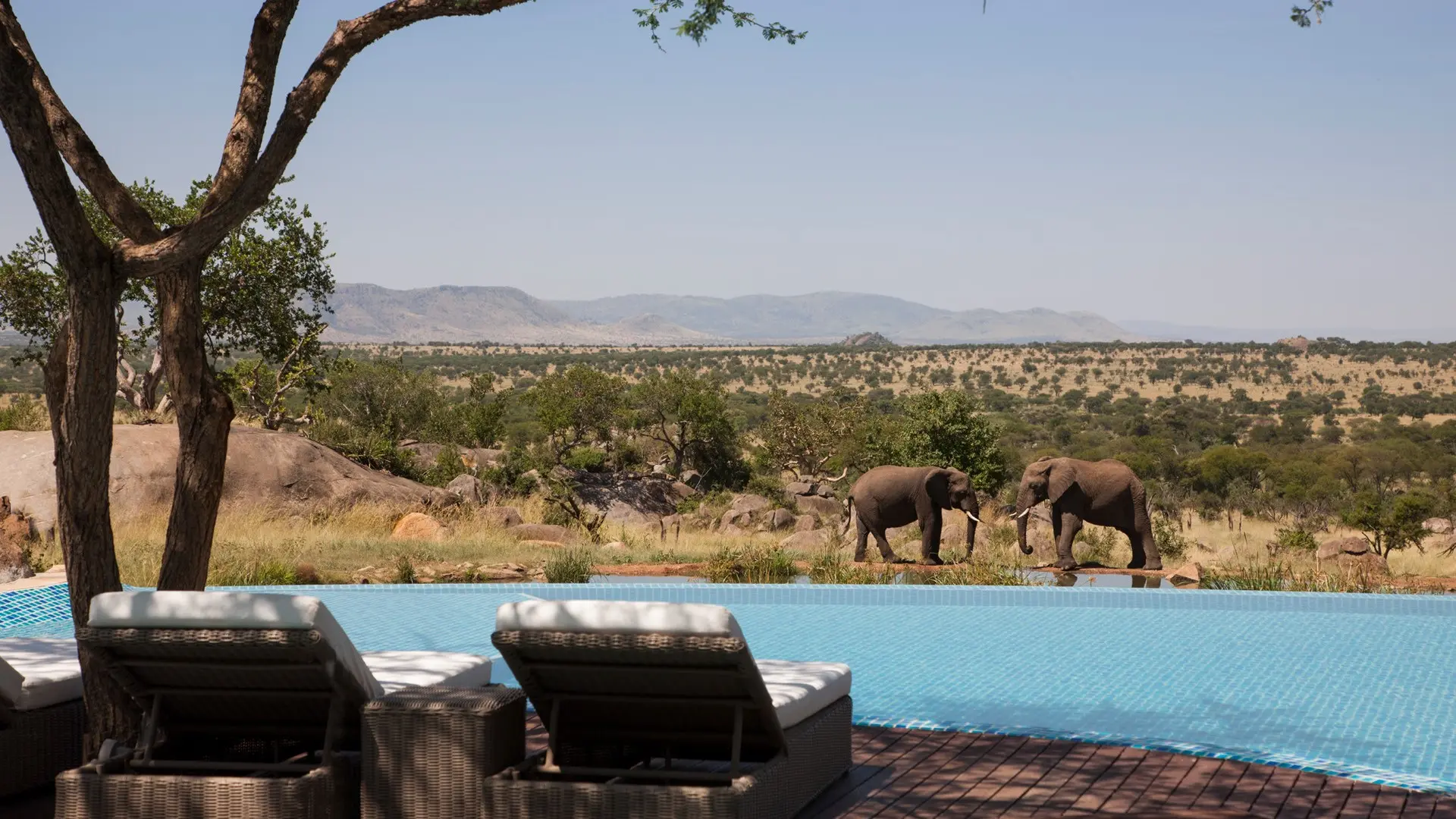 Hotel review Location' - Four Seasons Safari Lodge Serengeti - 4