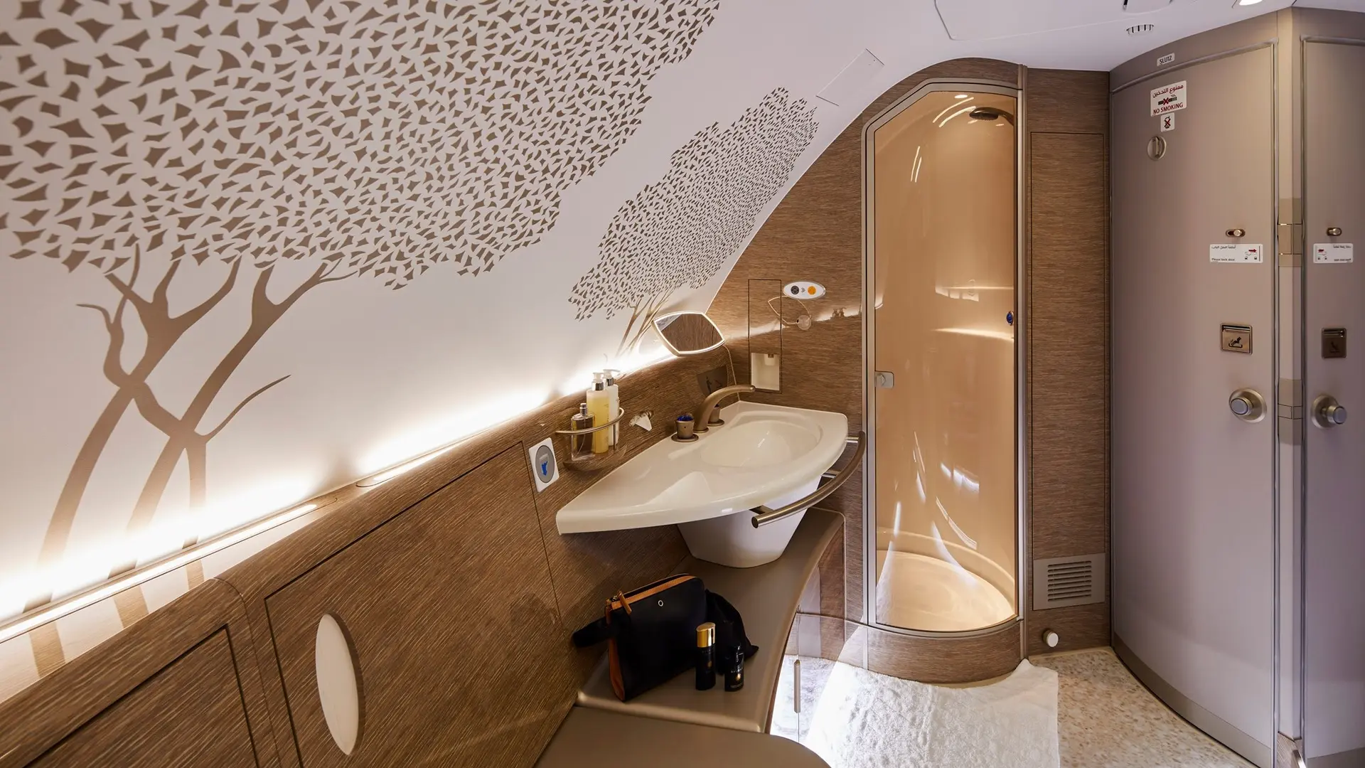 Airline review Amenities & Facilities - Emirates - 2
