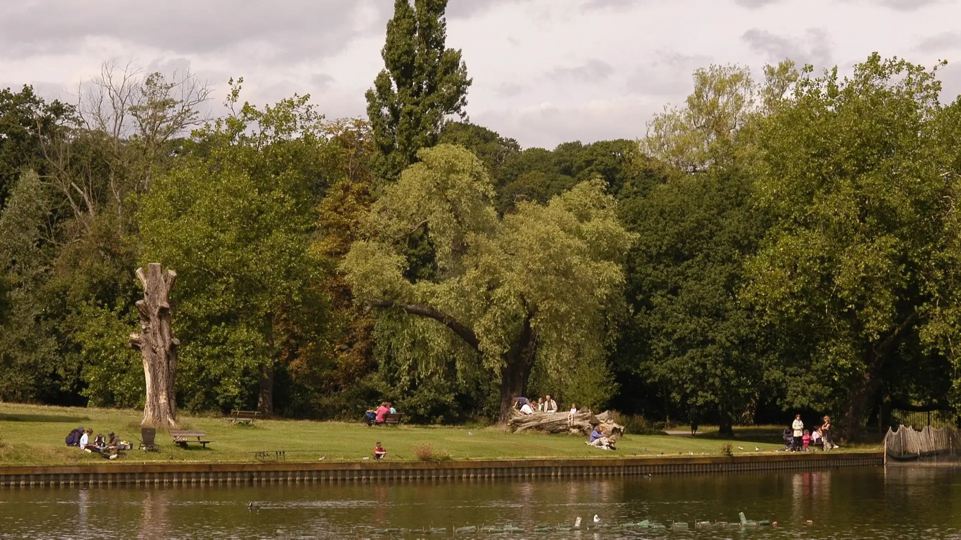 people relaxing at Hampstead Heath Swimming Ponds