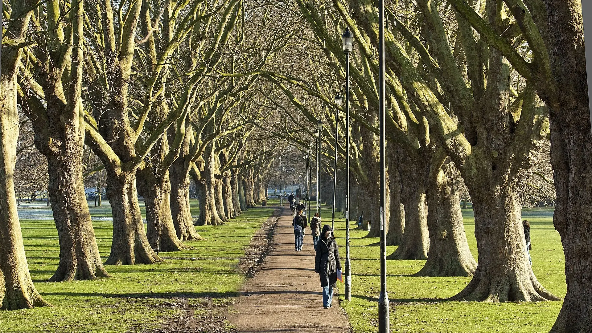 people walking through Cambridge