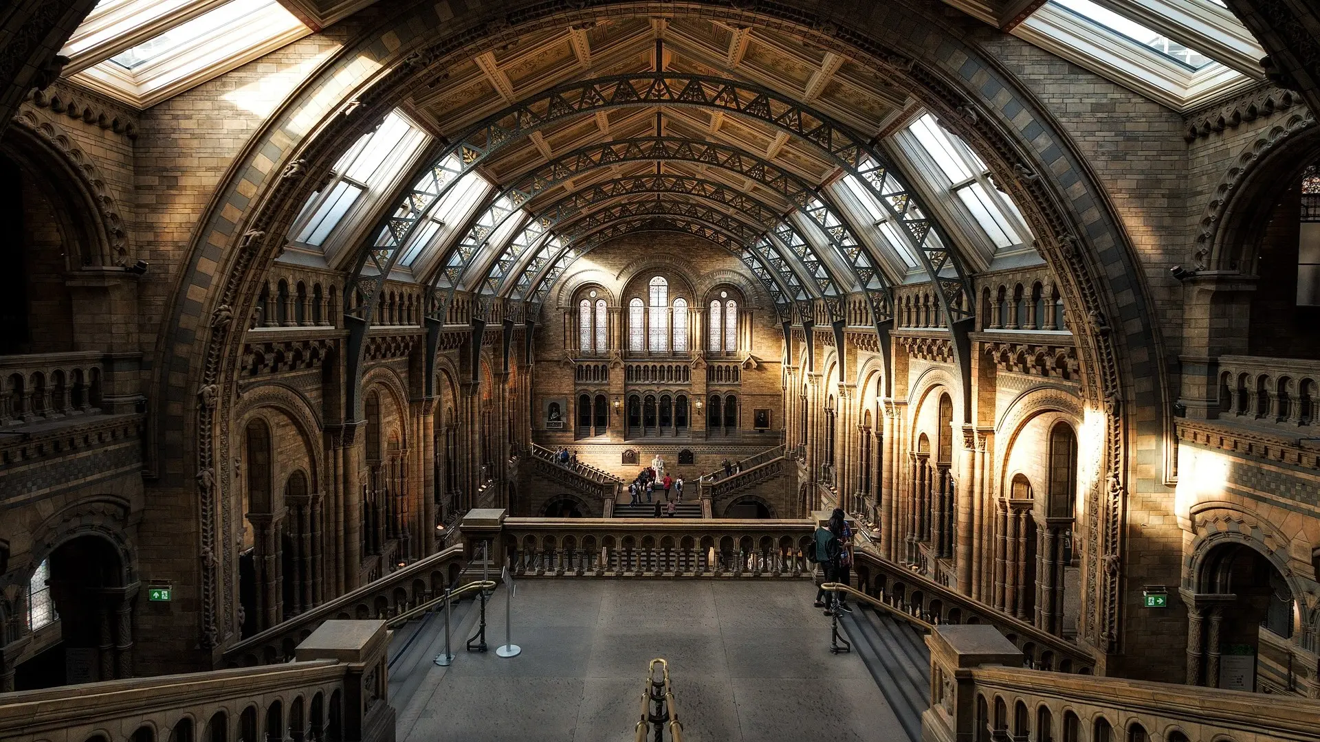 Natural History Museum from inside 