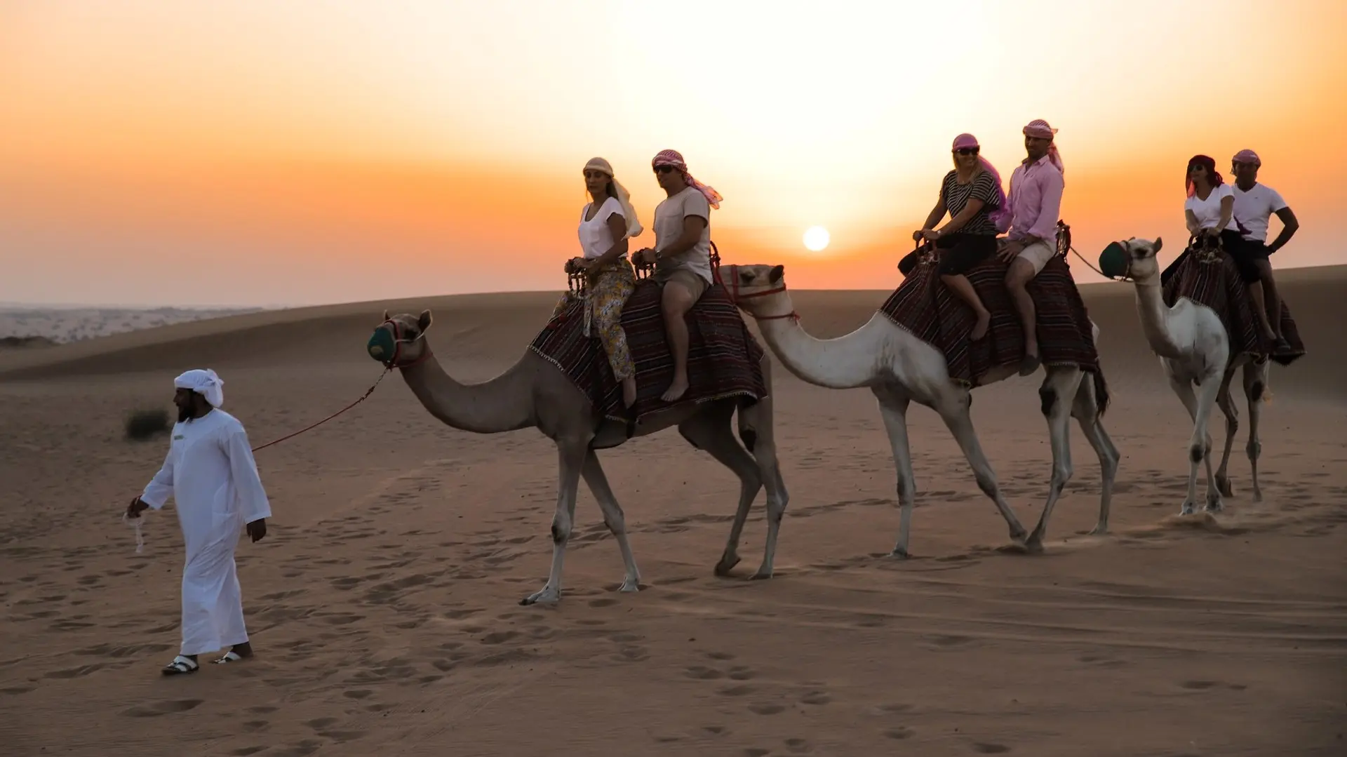 Destinations Toplists - 9 Best Desert Safaris in Dubai