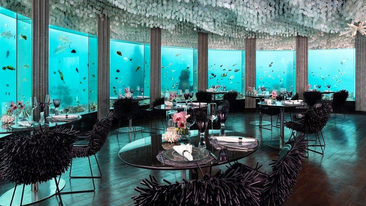 Black decor furniture at underwater dining with windows at Niyami Private Islands Maldives.