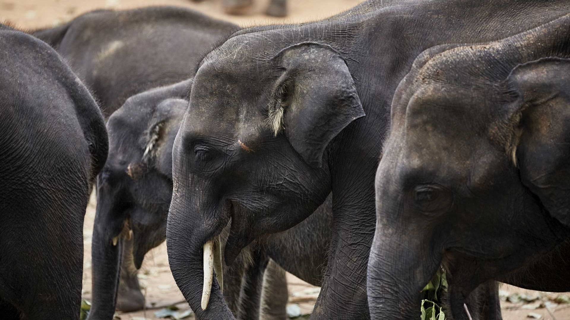 Hotel review What We Love' - Amanwella - 2