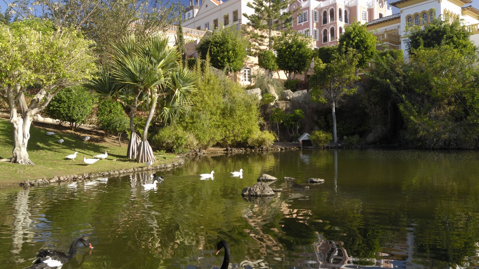 Private lake at Gran Hotel Bahia del Duque with ducks and trees in Tenerife
