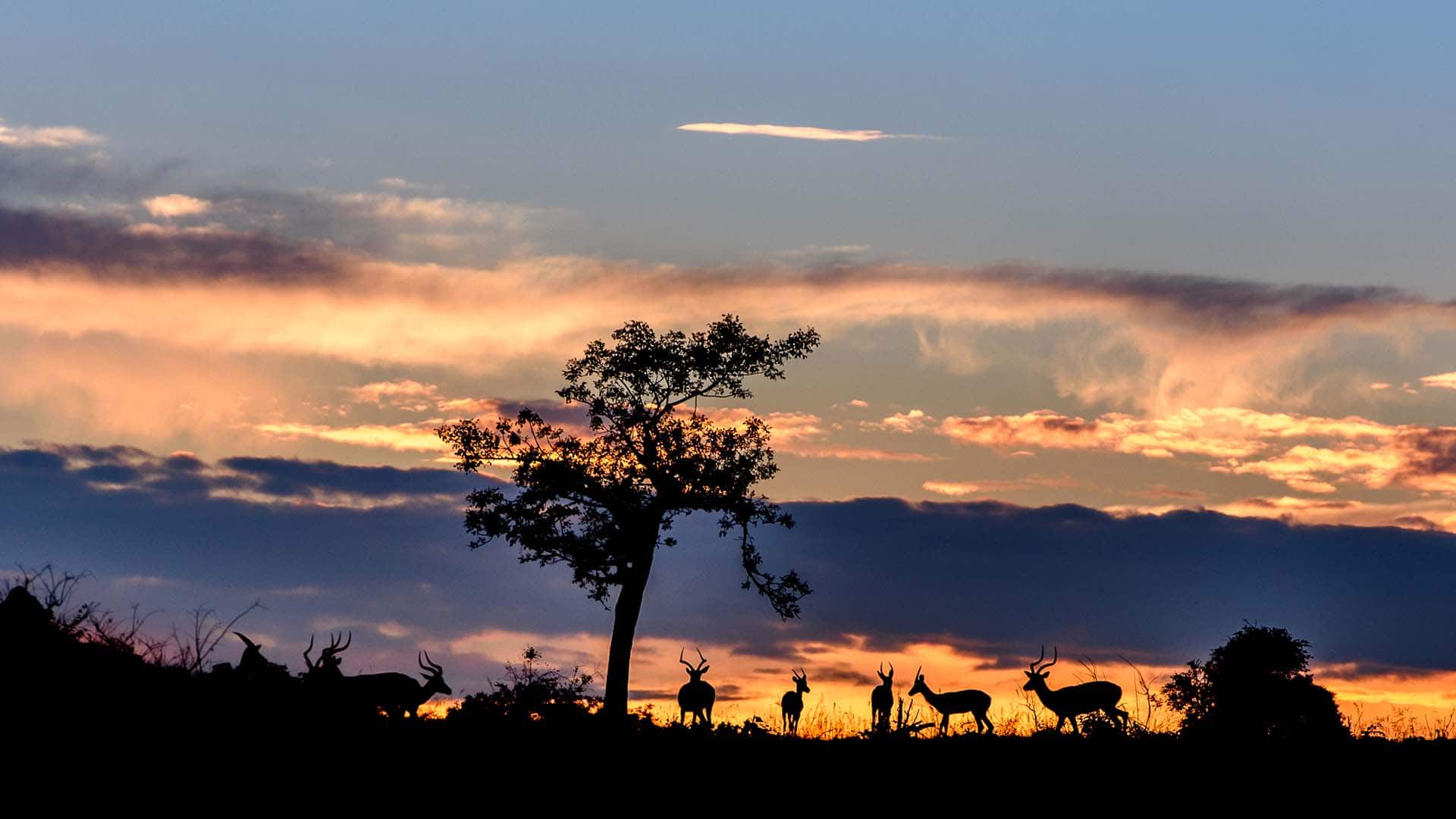 Hotel review Location' - Sabi Sabi Private Game Reserve  - 6