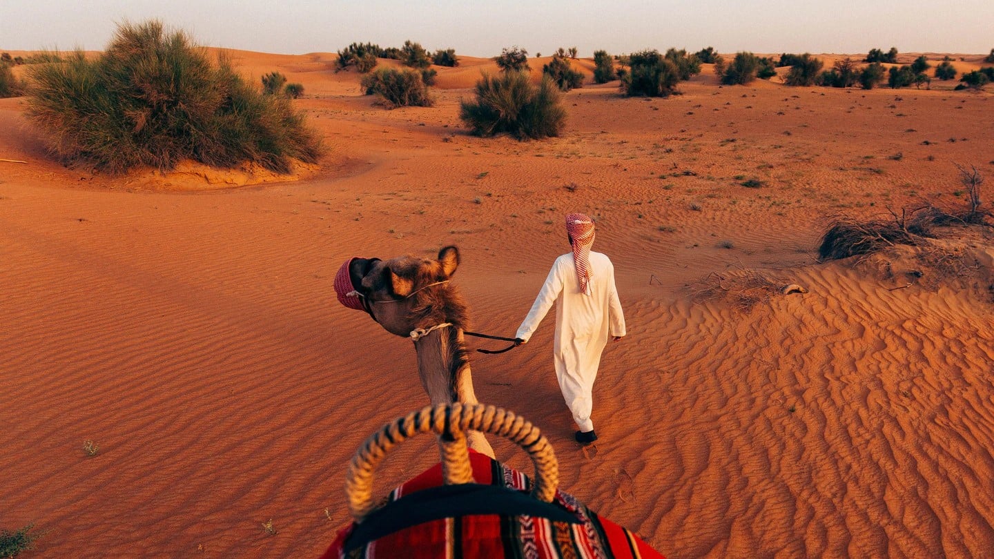 9 Best Desert Safaris in Dubai