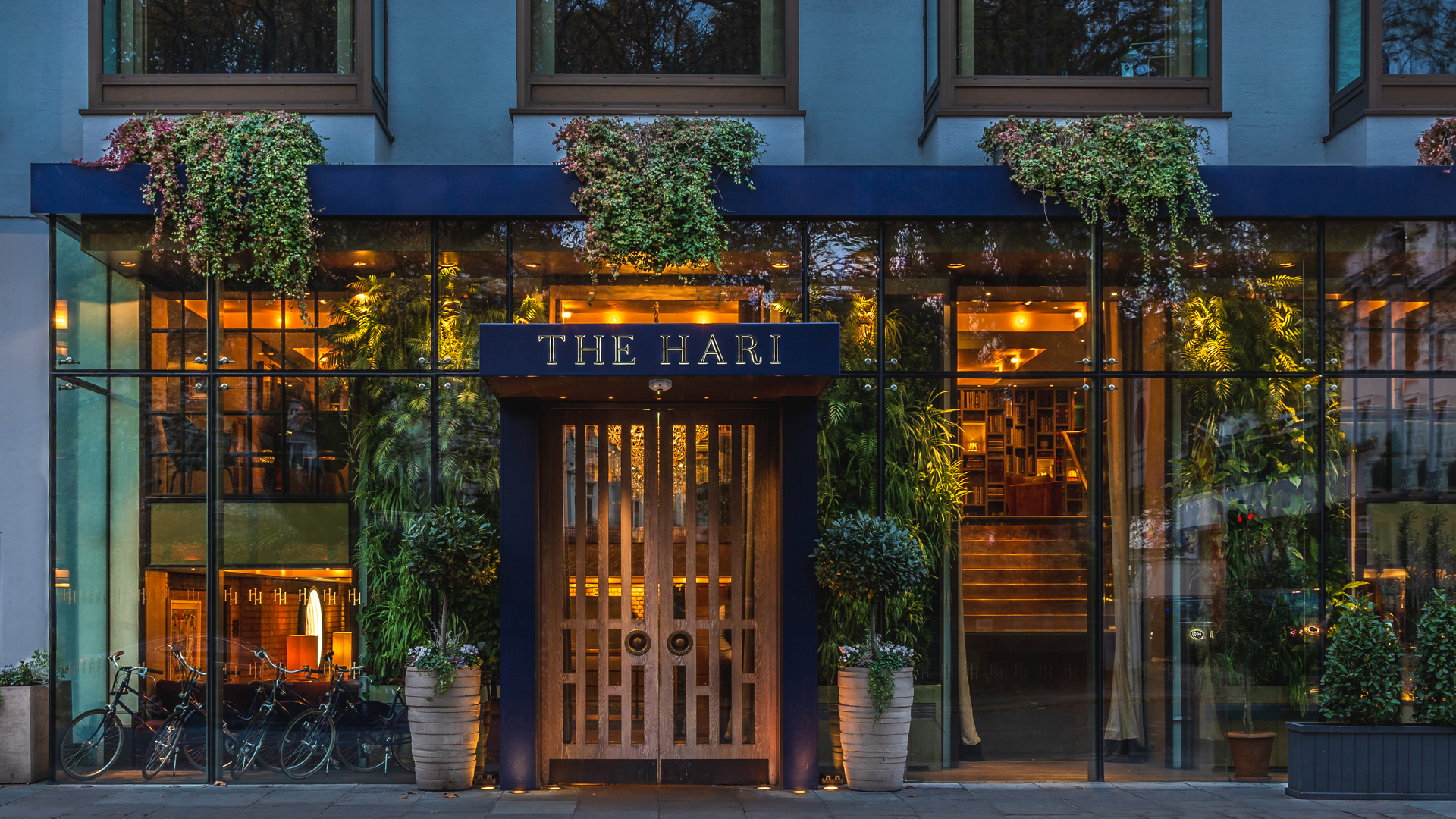 Review of The Hari - London