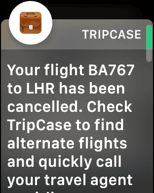 Review: Apple Watch for frequent travellers - My first trip with the Apple Watch - 10
