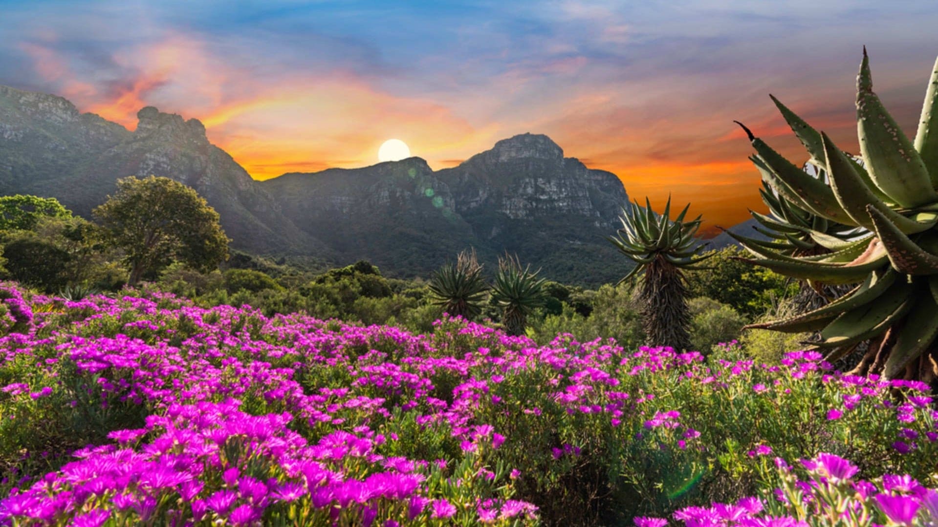 Lifestyle Toplists - The Best Botanical Gardens in the World