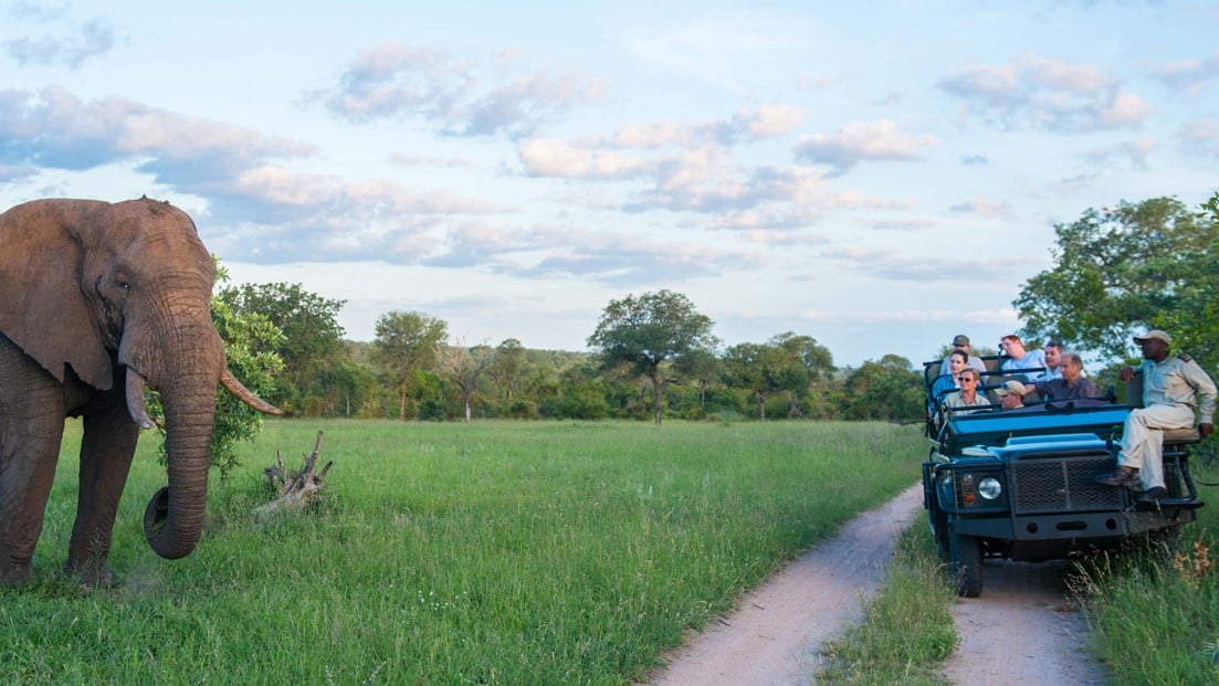 Hotel review Service & Facilities' - Sabi Sabi Private Game Reserve  - 5