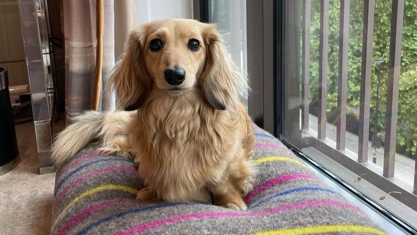 Hotel review Accommodation' - The Athenaeum Hotel & Residences  - 5