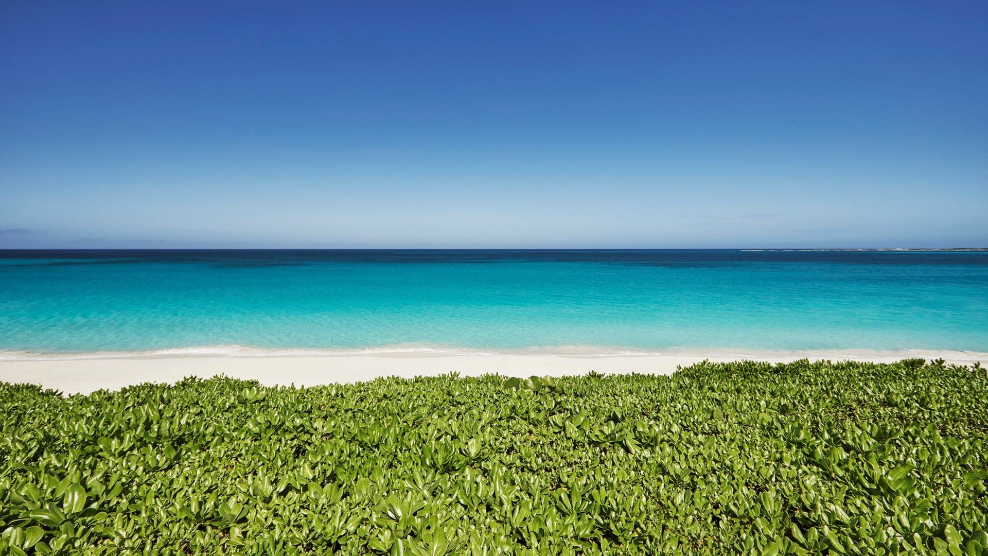 Hotel review What We Love' - The Ocean Club, A Four Seasons Resort - 3