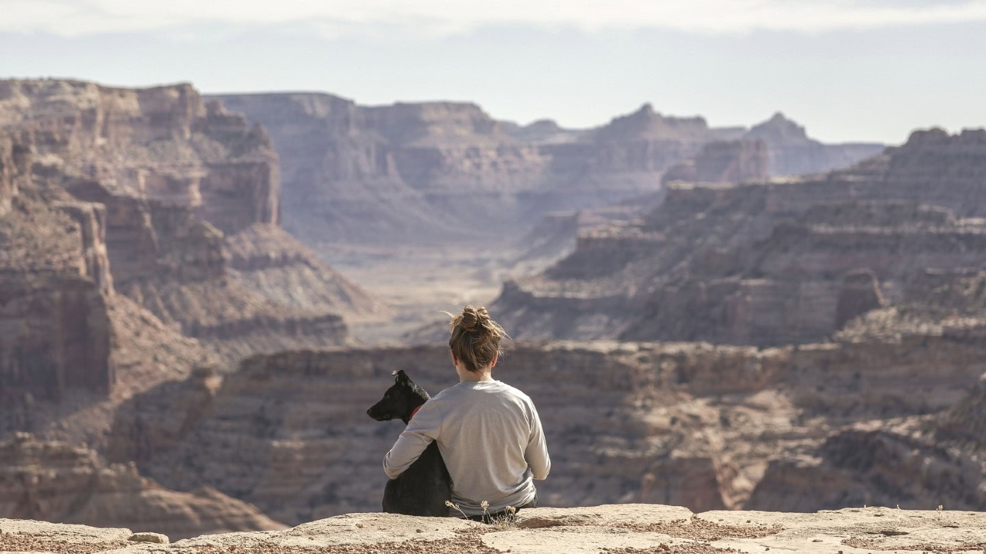 Flying with Pets: A Complete Guide to Pet-Friendly Airlines image