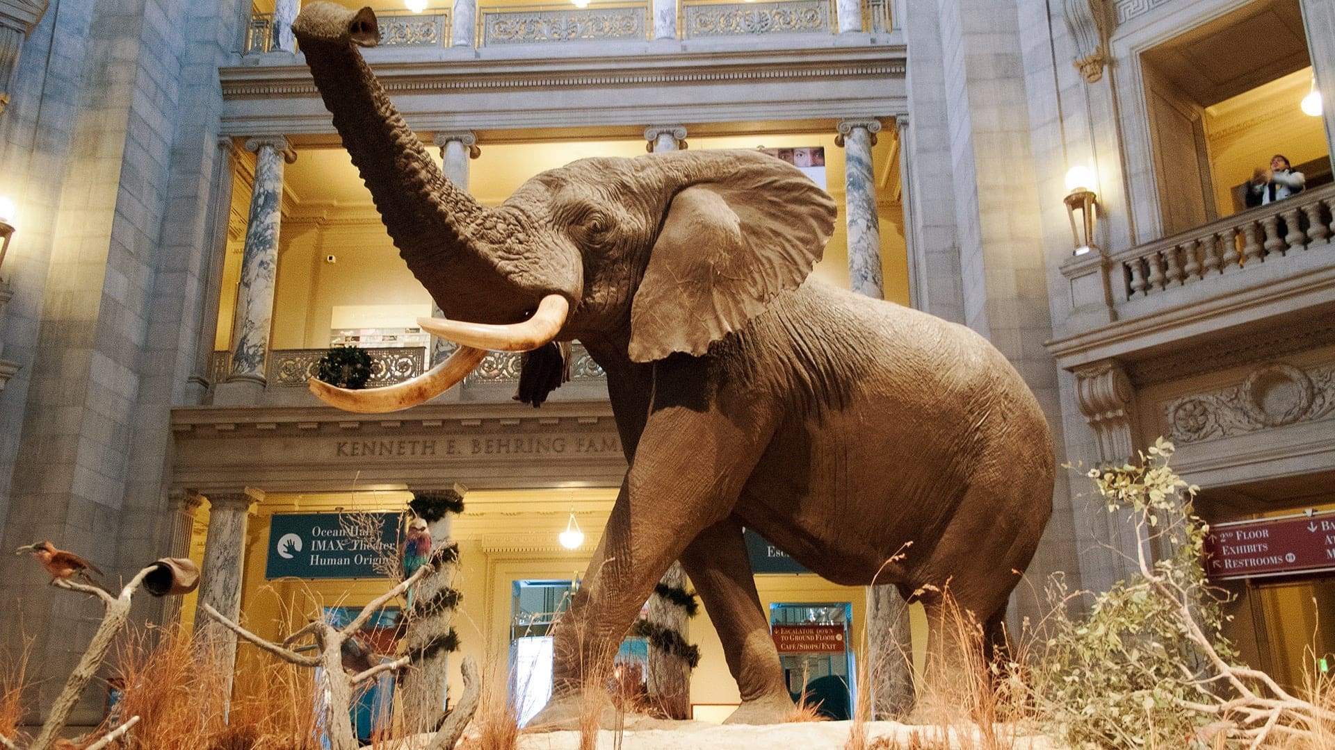 Destinations Articles - Washington D.C. Travel Guide