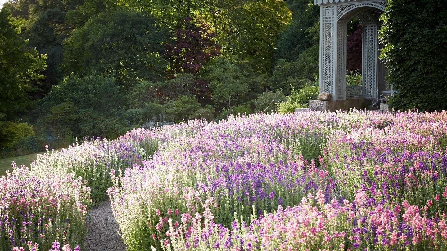 Hotel review Service & Facilities' - Hotel Endsleigh - 2