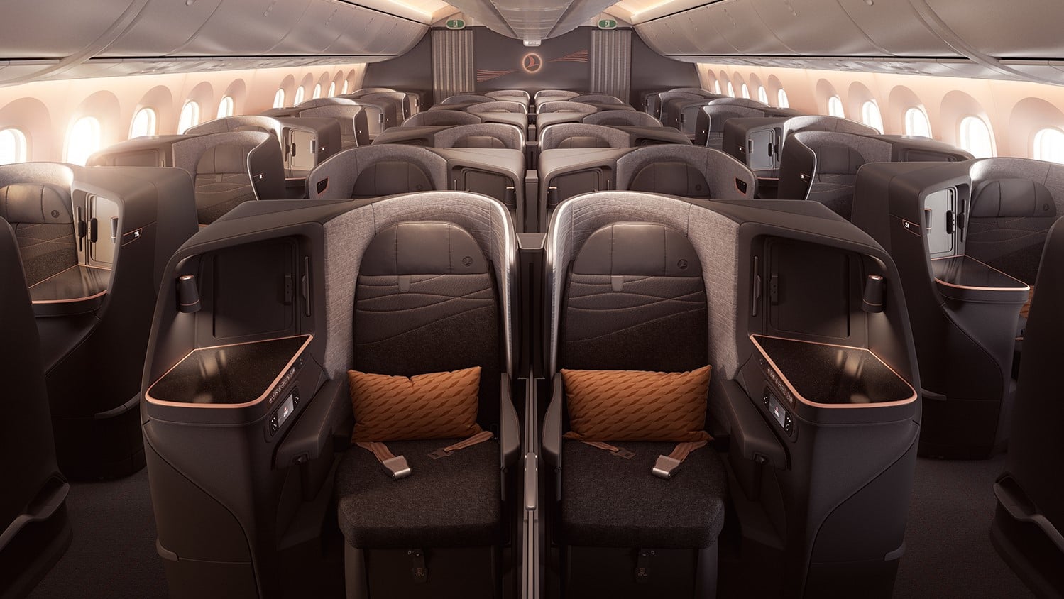 Airline review Cabin & Seat - Turkish Airlines - 0