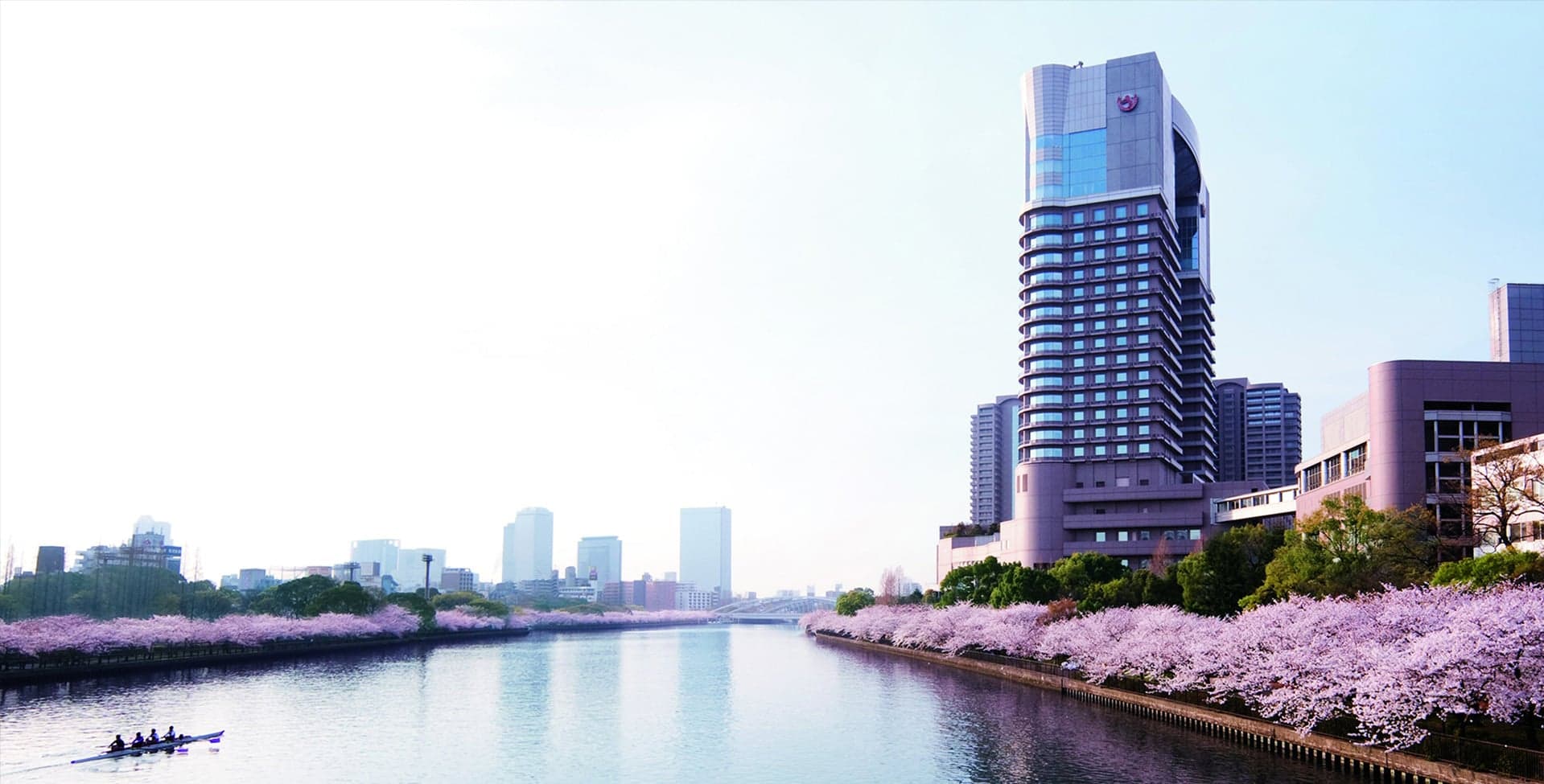 Four people rowing in Okawa river with pink trees on each side of the river.