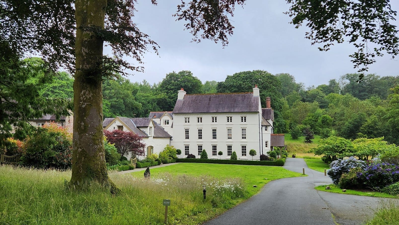 Grove of Narberth image