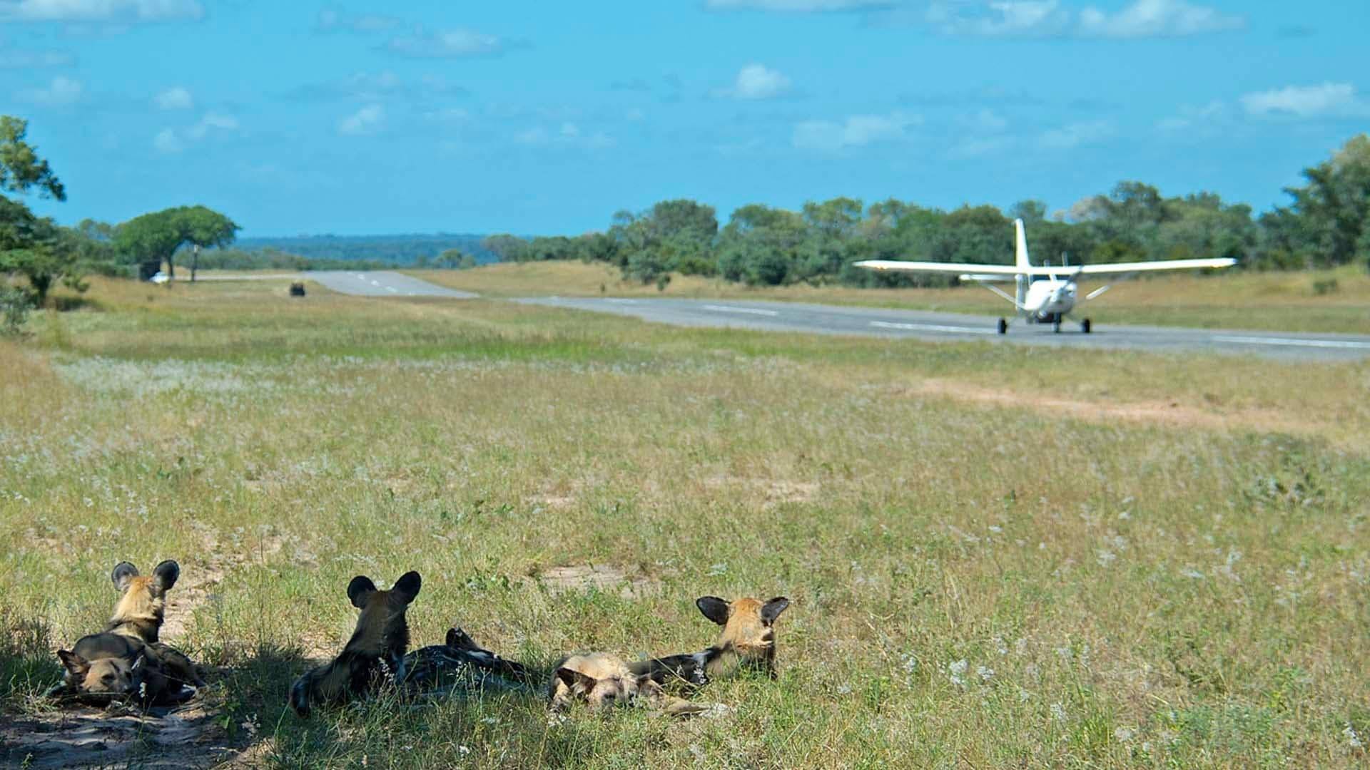 Hotel review Service & Facilities' - Sabi Sabi Private Game Reserve  - 14